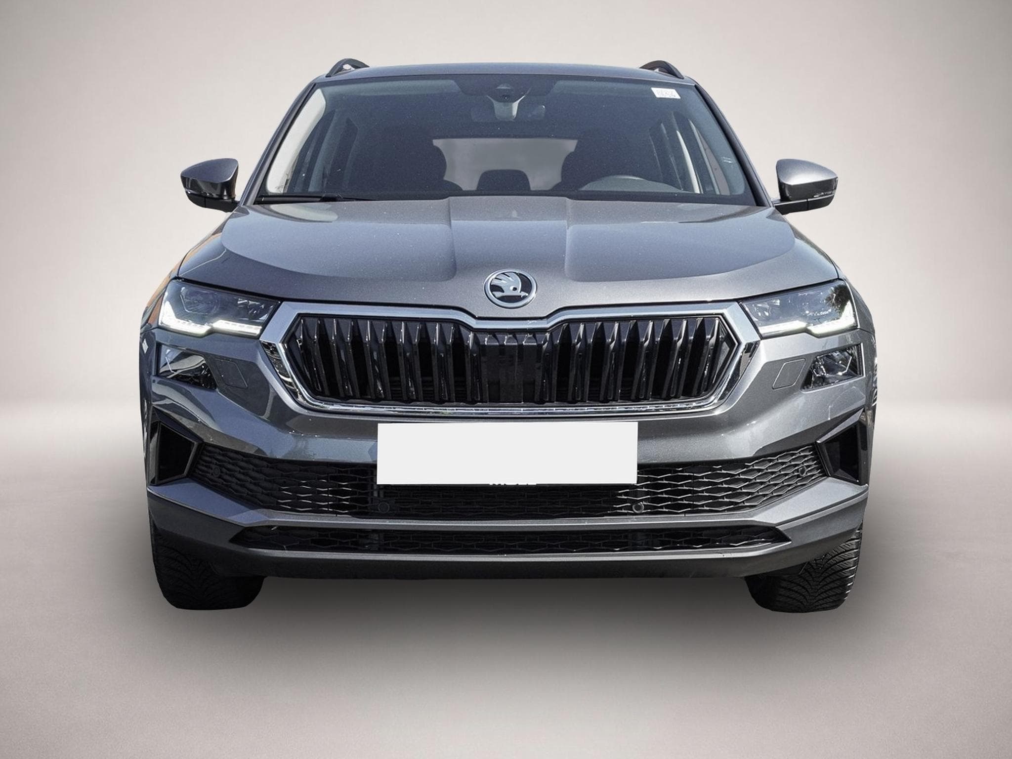 Skoda Karoq (2025) - Photo 2