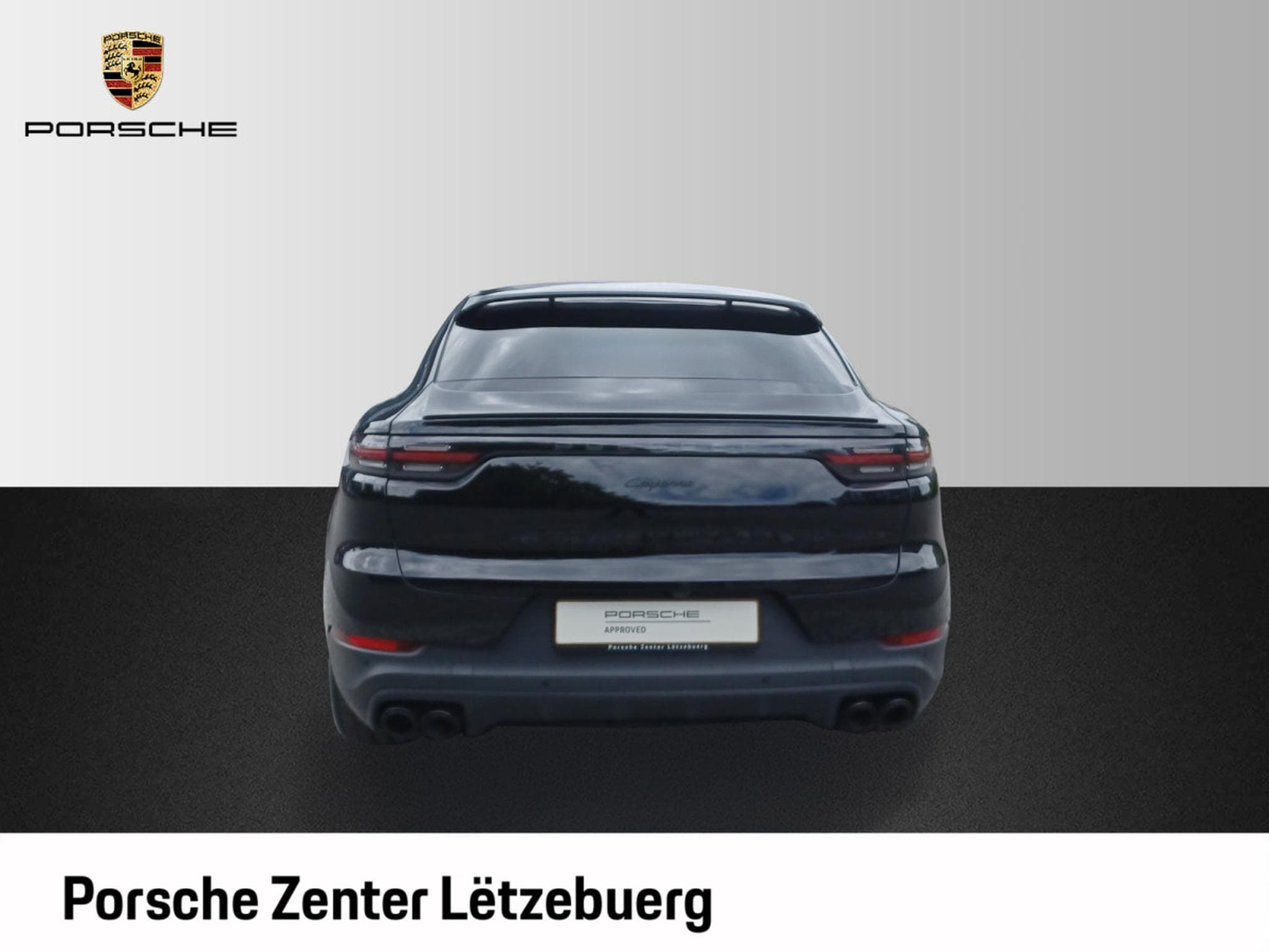 Porsche Cayenne Coupe Platinum Edition (2022) - Photo 4