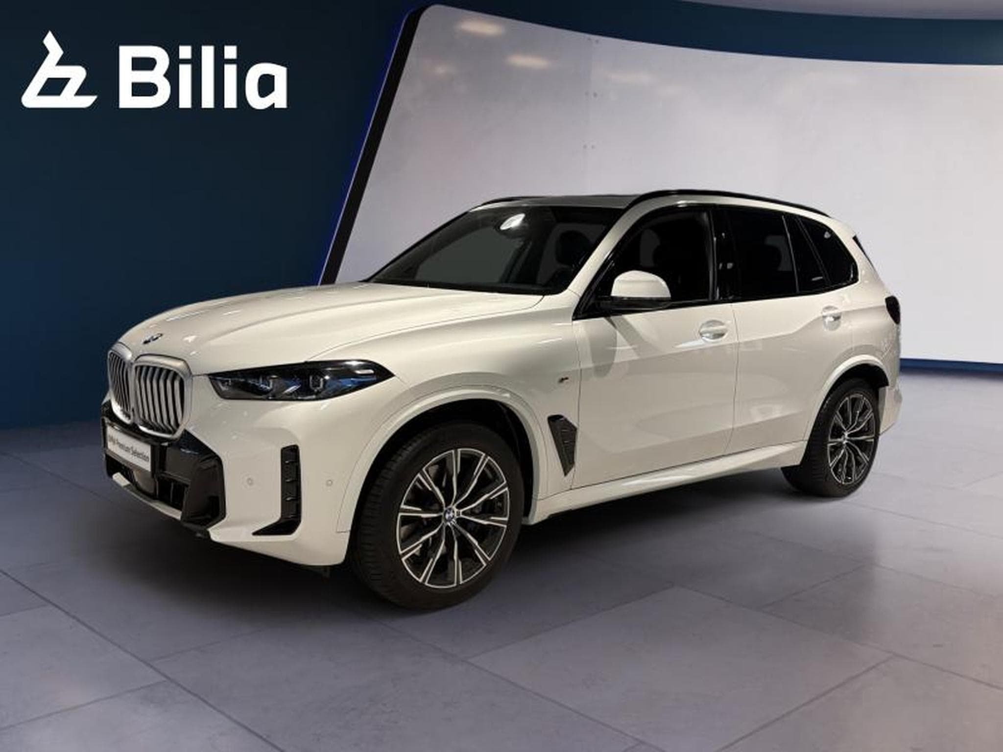 BMW X5 X5 xDrive30d M Sport (2024) - Photo 1