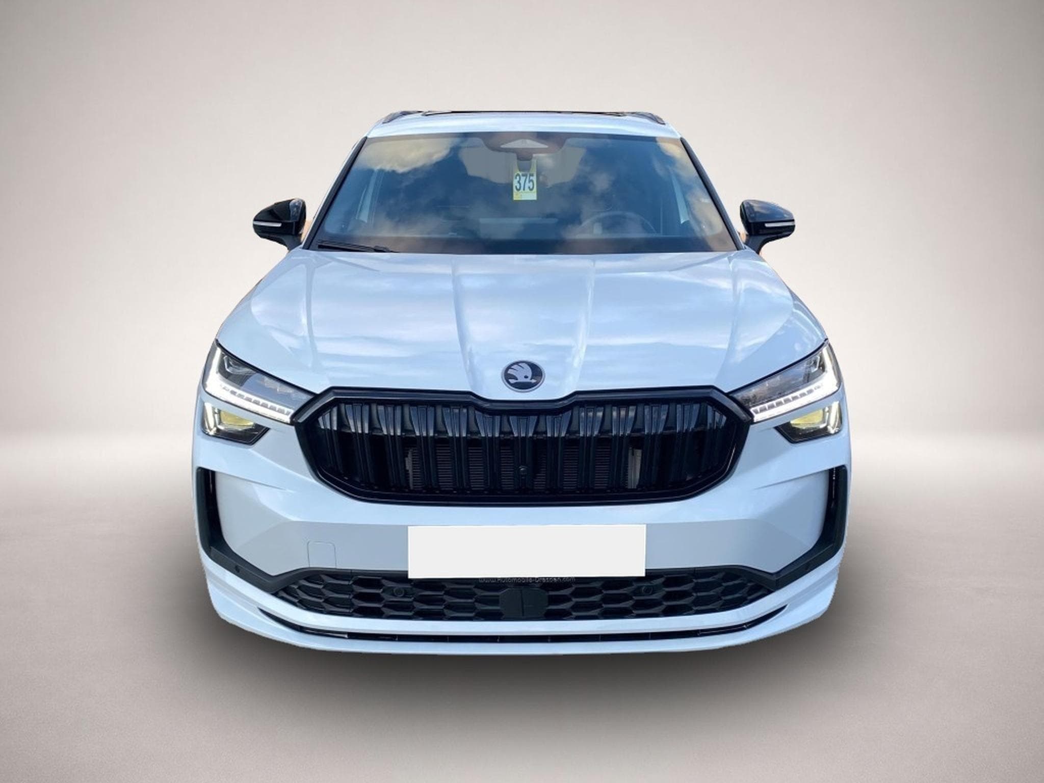 Skoda Kodiaq (2025) - Photo 3
