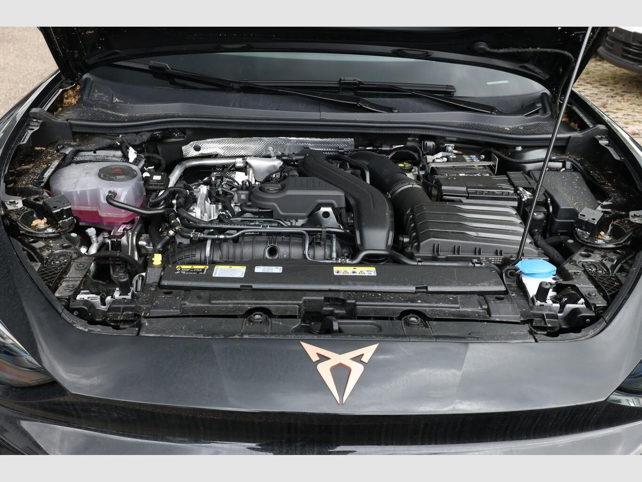 Cupra Leon DSG IntelliD Nav (2026) - Photo 12