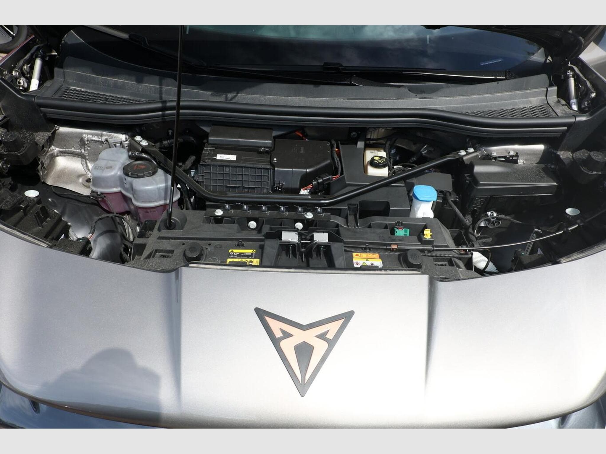 Cupra Tavascan Endurance (2026) - Photo 12