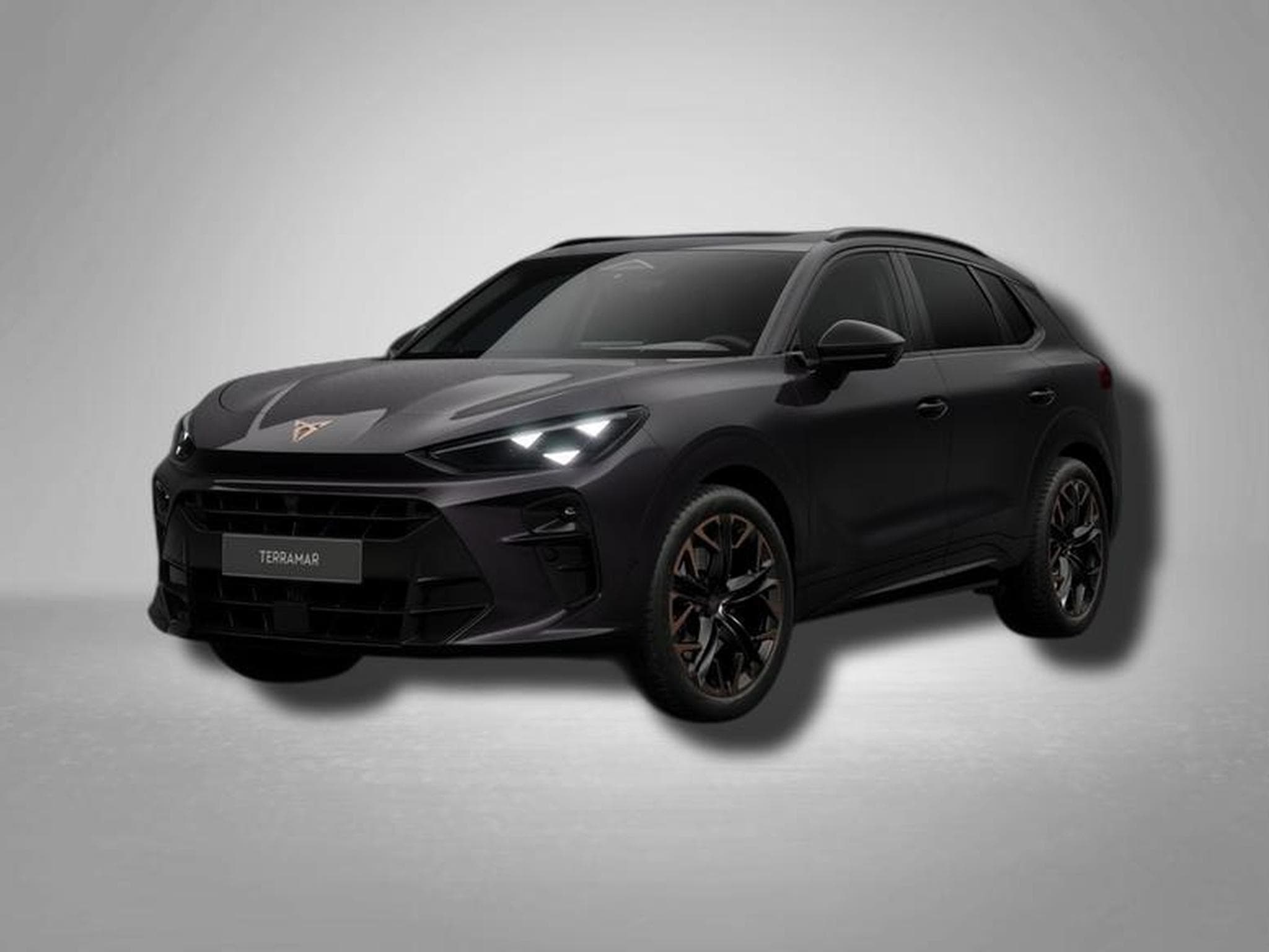 Cupra Terramar VZ 2.0 TSI 7-Gang-DSG 4Drive (2026) - Photo 1