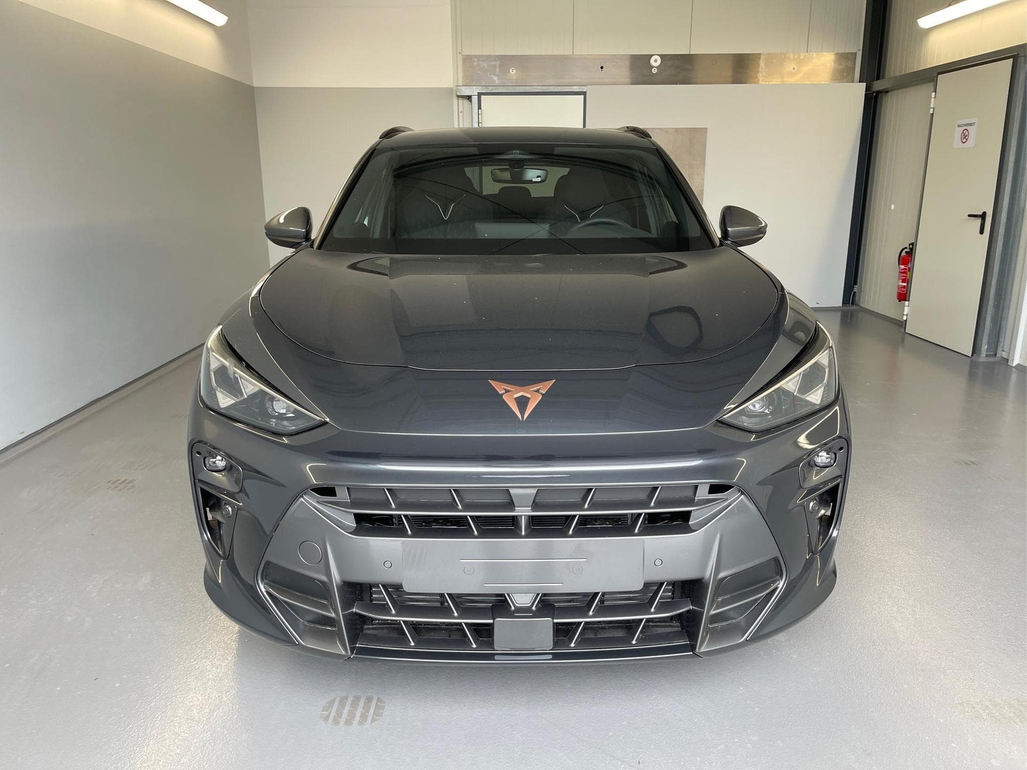 Cupra Terramar Terramar (2026) - Photo 2