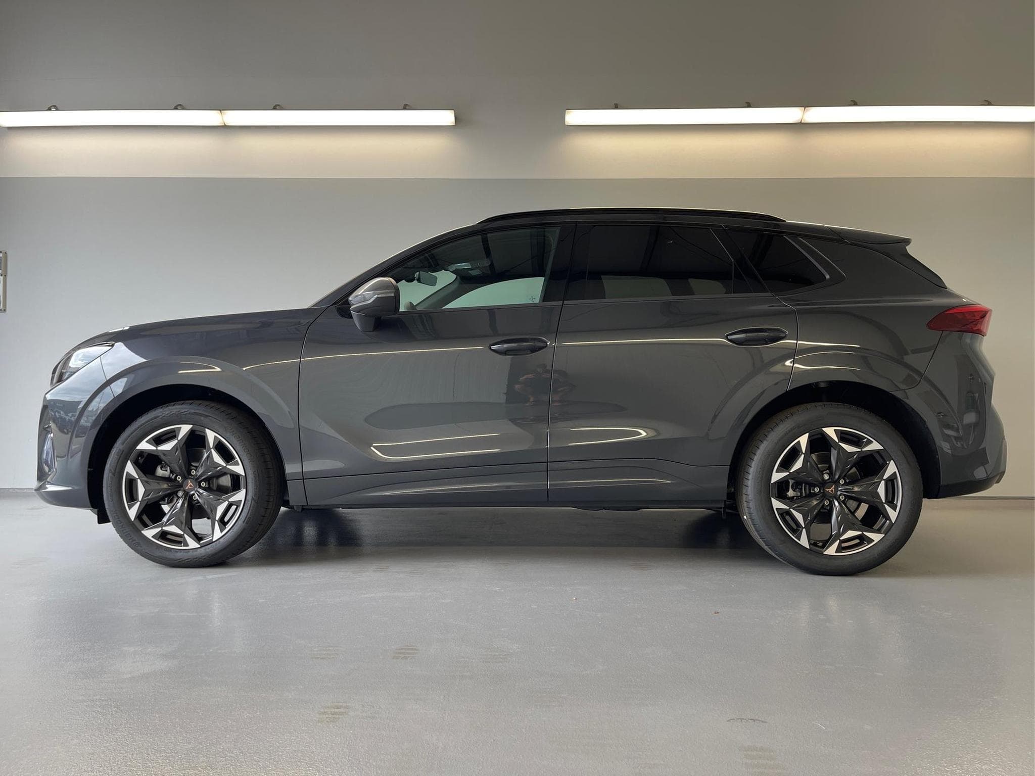 Cupra Terramar Terramar (2026) - Photo 3