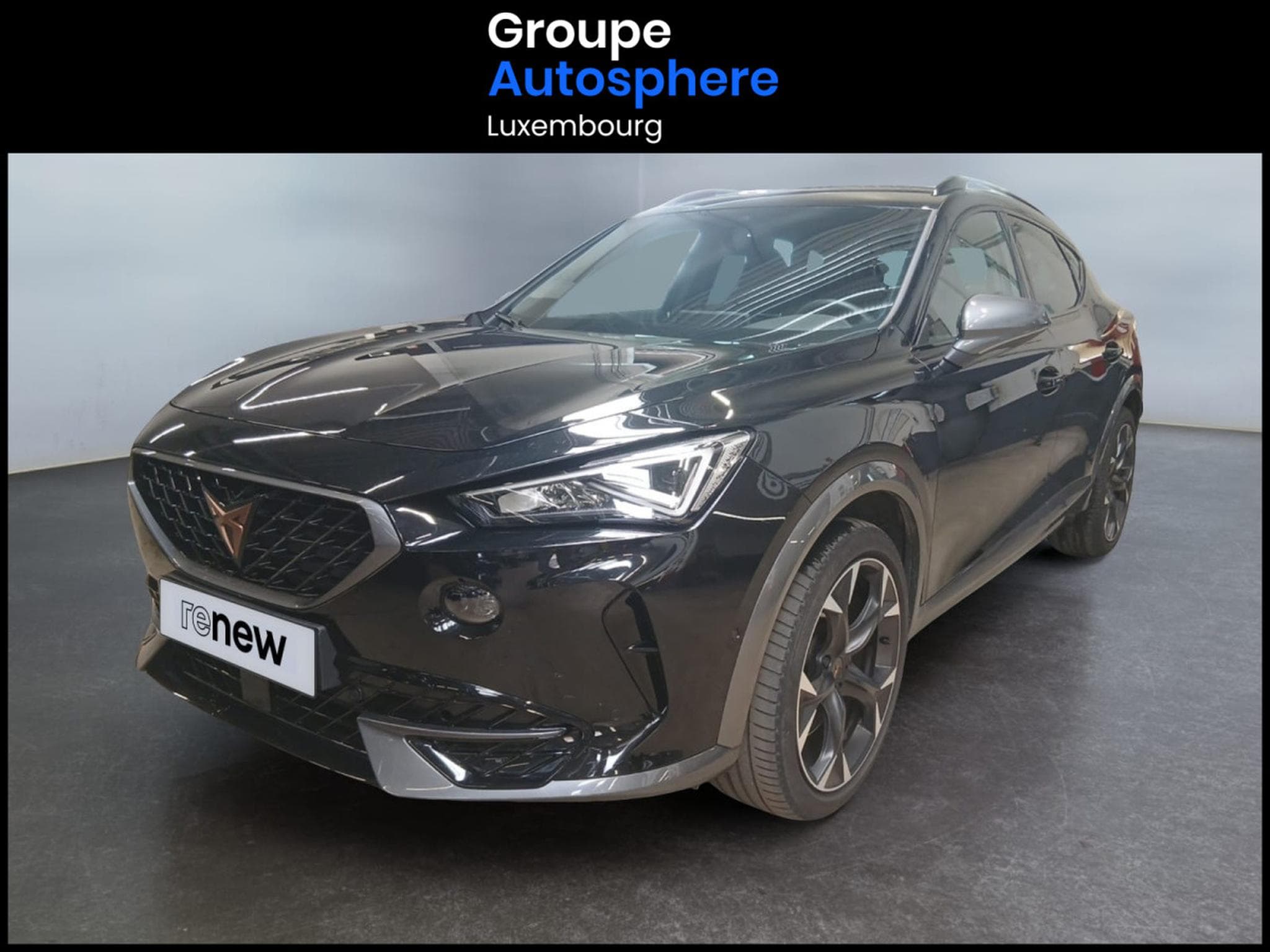 Cupra Formentor 2.0 TSI 4DRIVE VZ DSG (2024) - Photo 1