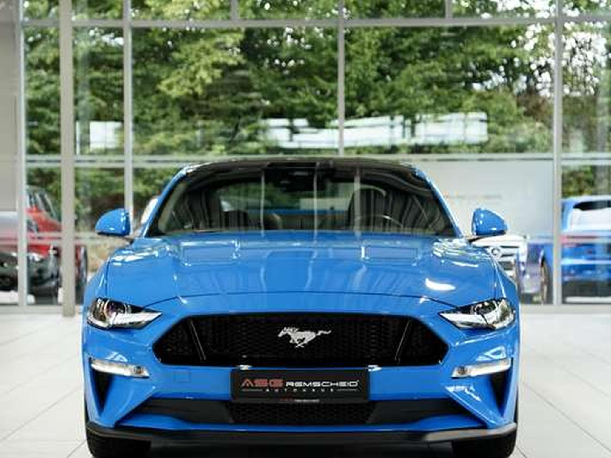 Ford Mustang 5.0 GT Fastback 2.Hand *MwSt *MagneRide (2024) - Photo 4