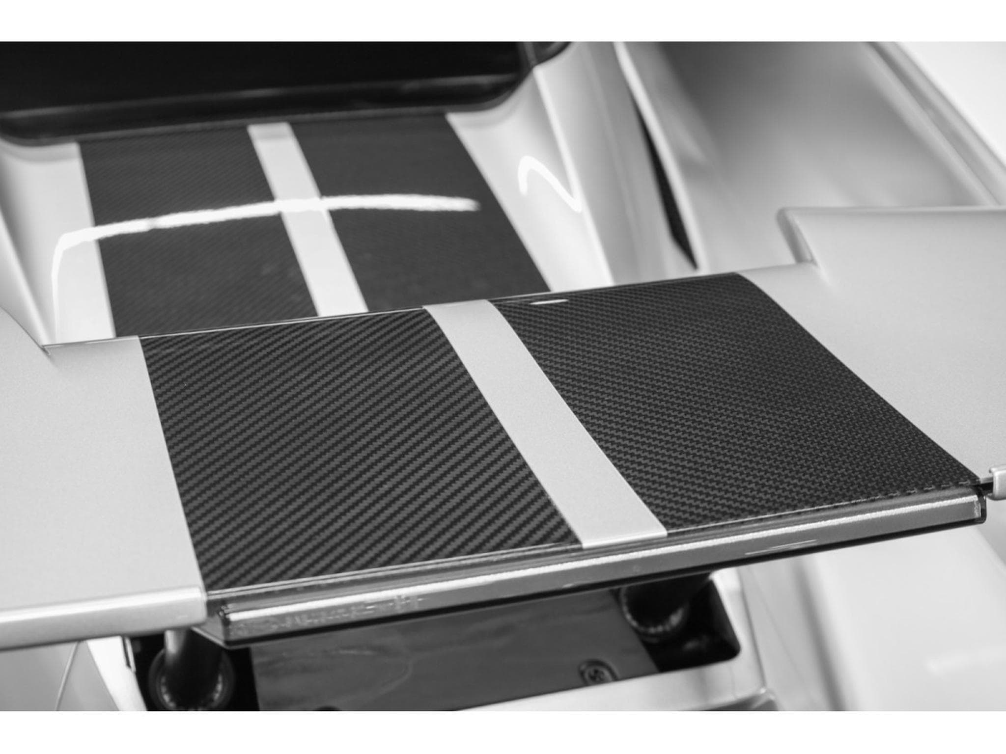 Ford GT Carbon Series - Ingot Silver (2023) - Photo 22