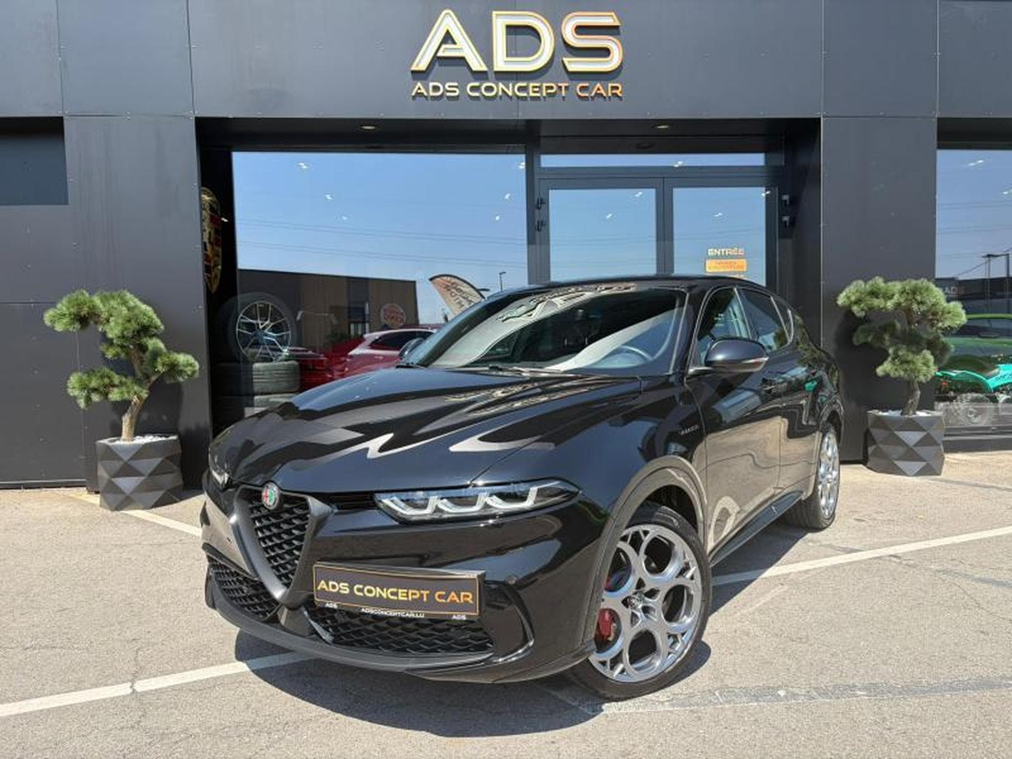 Alfa-Romeo Tonale Veloce Mild Hybrid/Alcantara/Camera (2023) - Photo 2