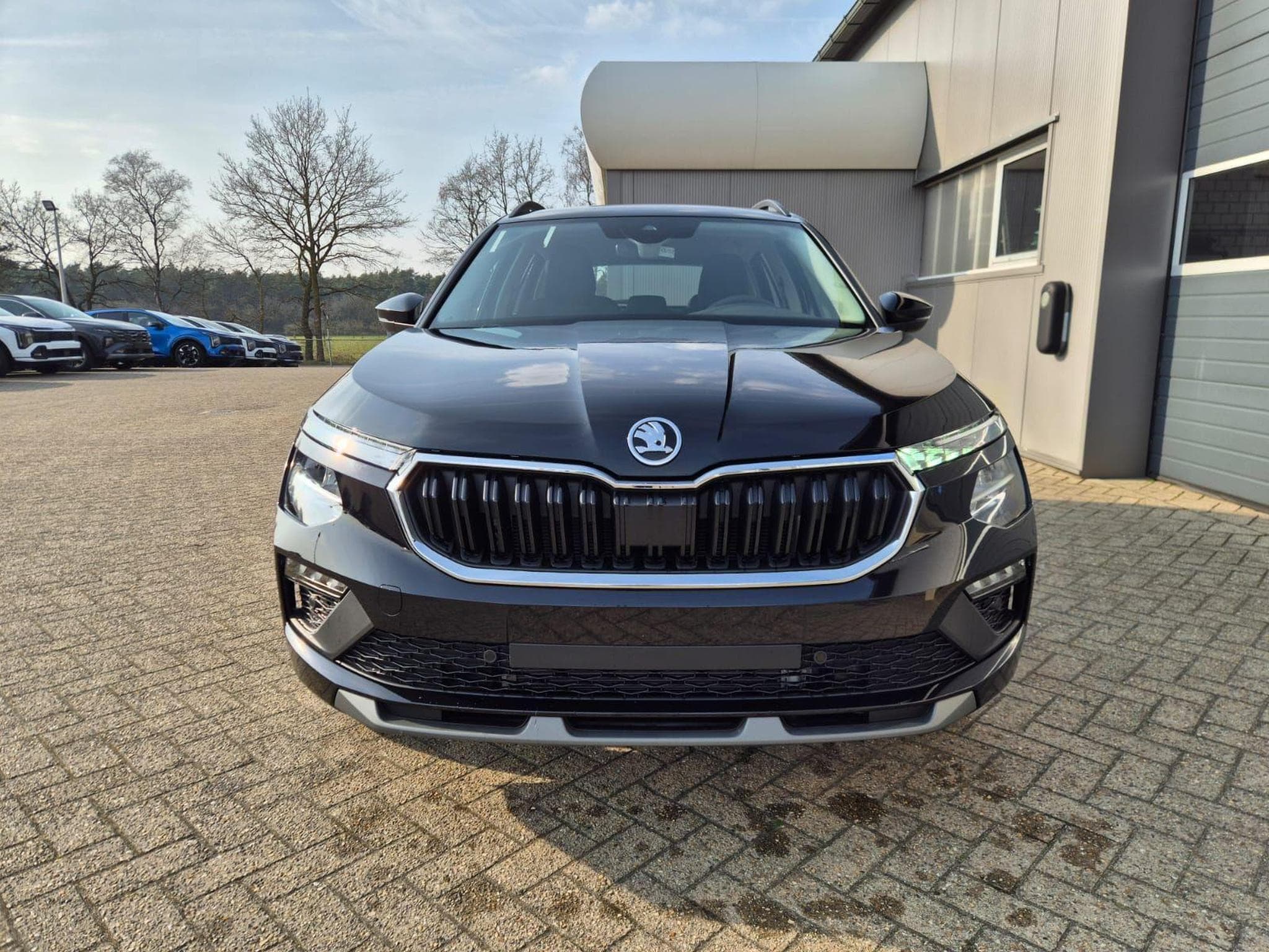 Skoda Kamiq Selection (2026) - Photo 8