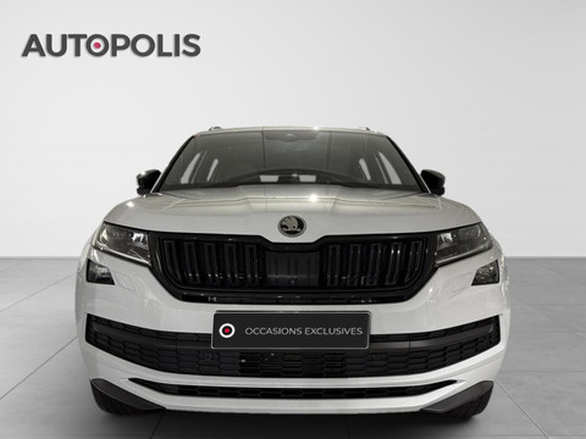 Skoda Kodiaq 2.0 TSI 140kW Sportline DSG 4x4 (2019) - Photo 14