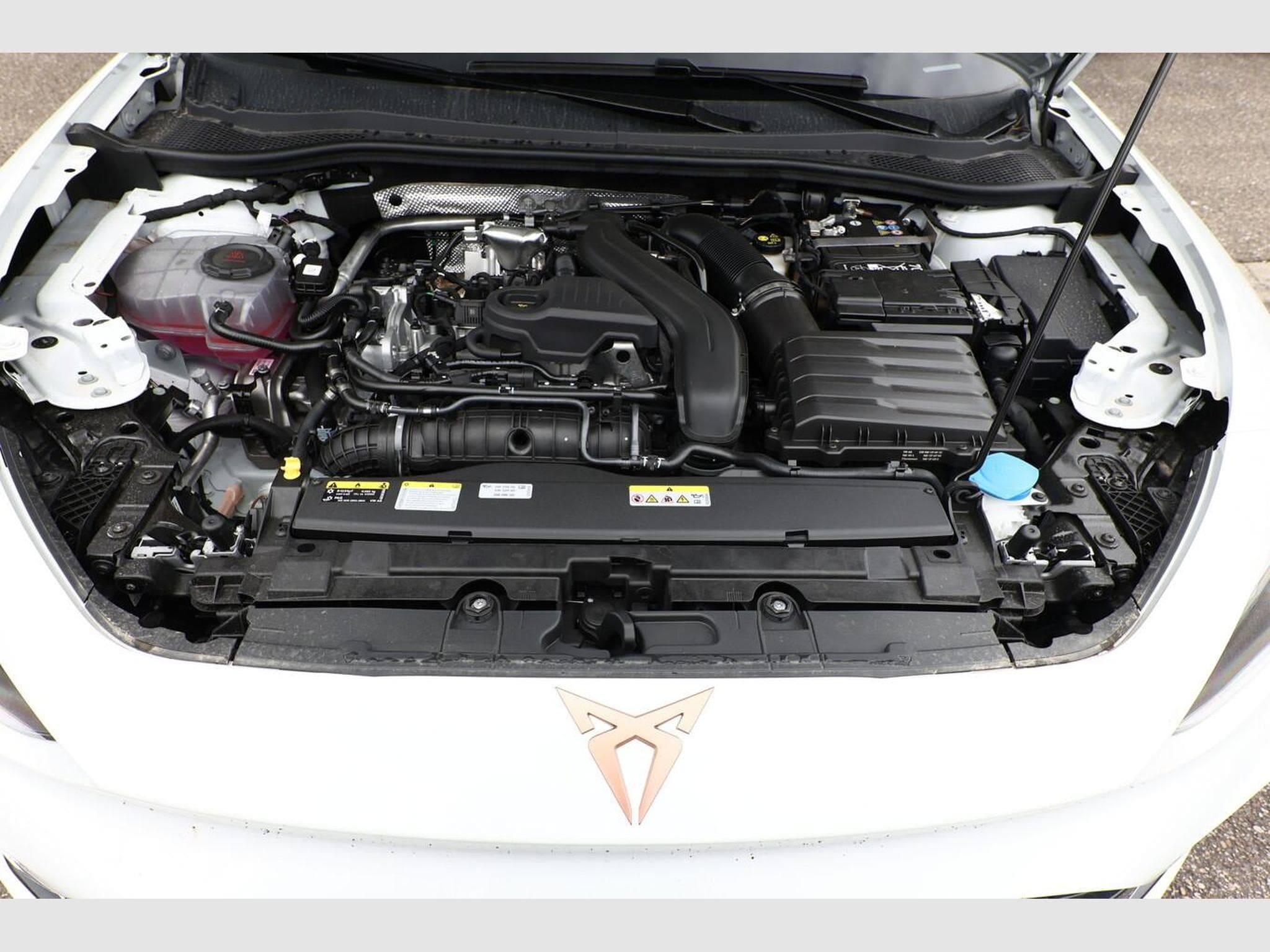 Cupra Leon DSG IntelliD Nav (2026) - Photo 12