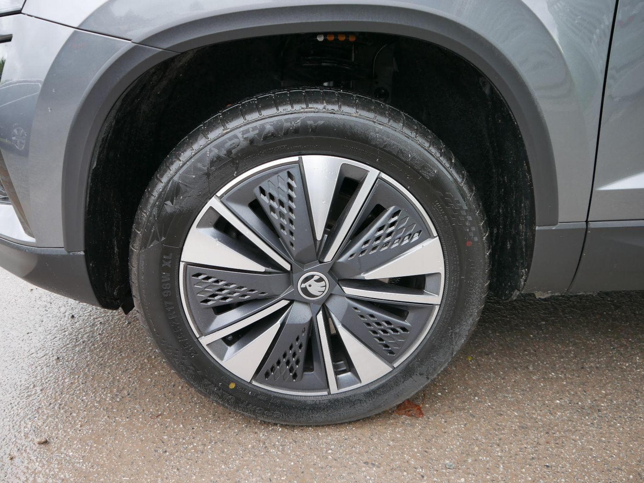 Skoda Karoq Selection (2025) - Photo 3