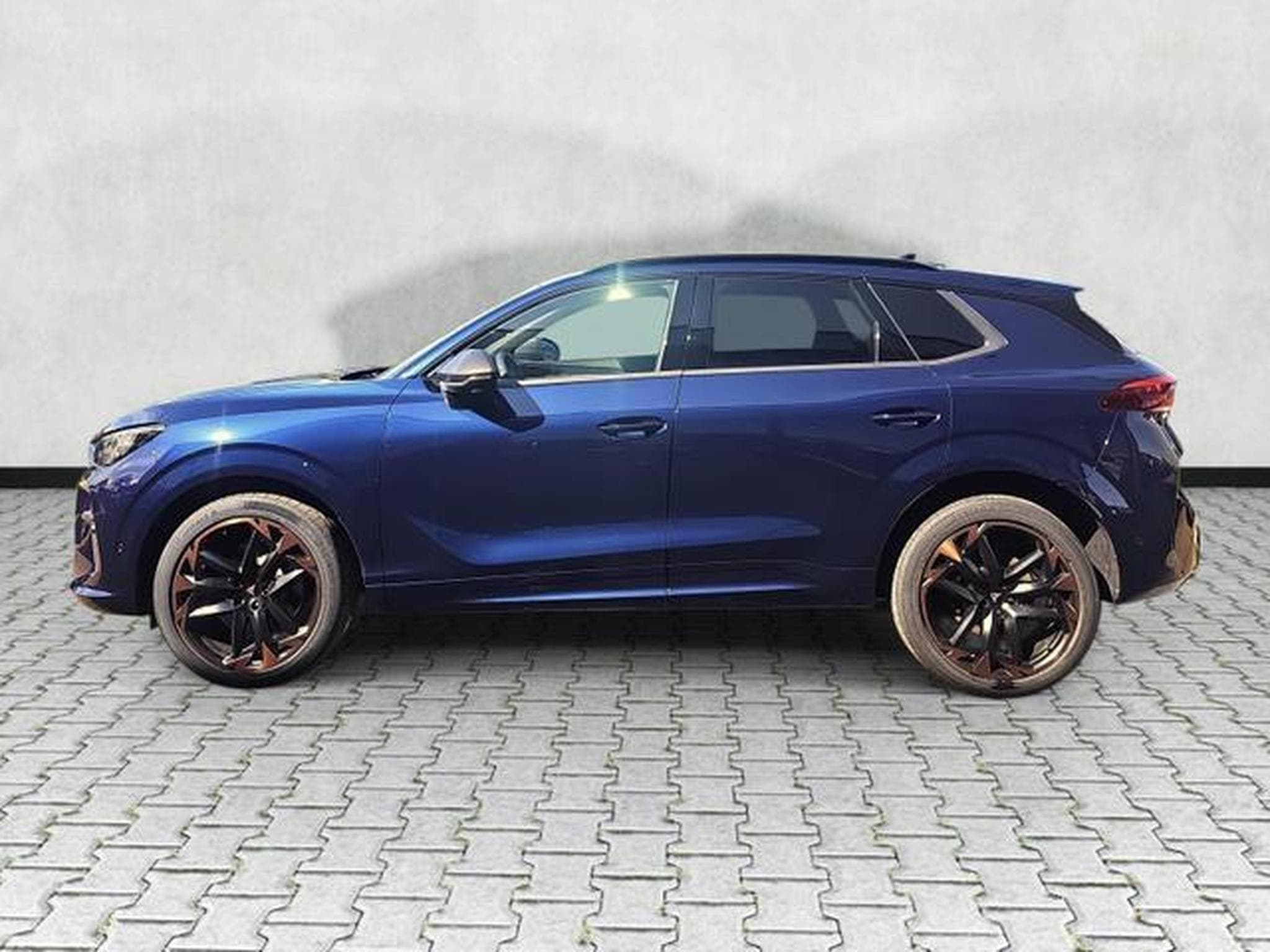 Cupra Terramar 2.0 TSI 195 kW 4Drive VZ (2026) - Photo 4