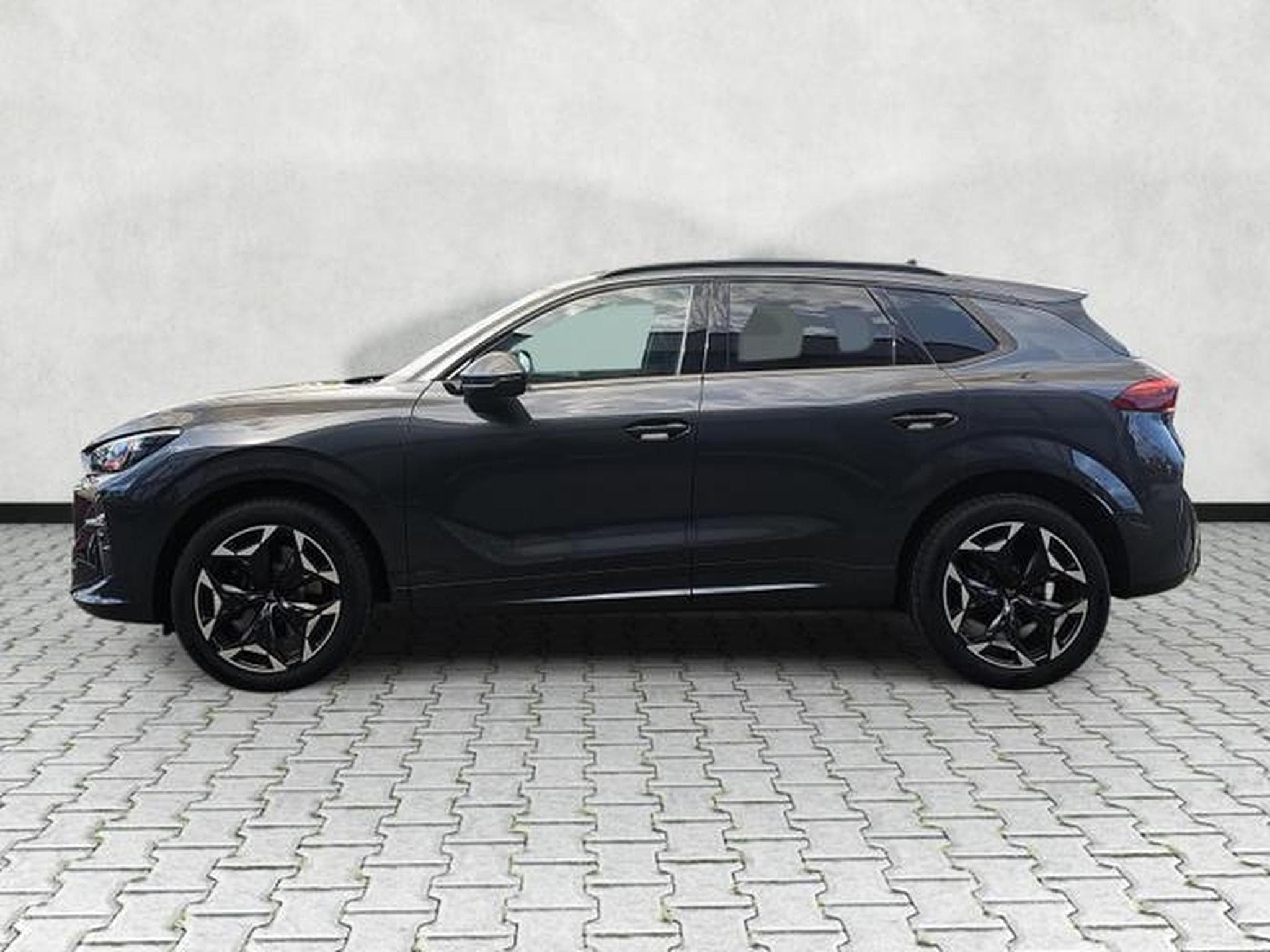 Cupra Terramar 2.0 TSI 195 kW 4Drive VZ (2026) - Photo 4