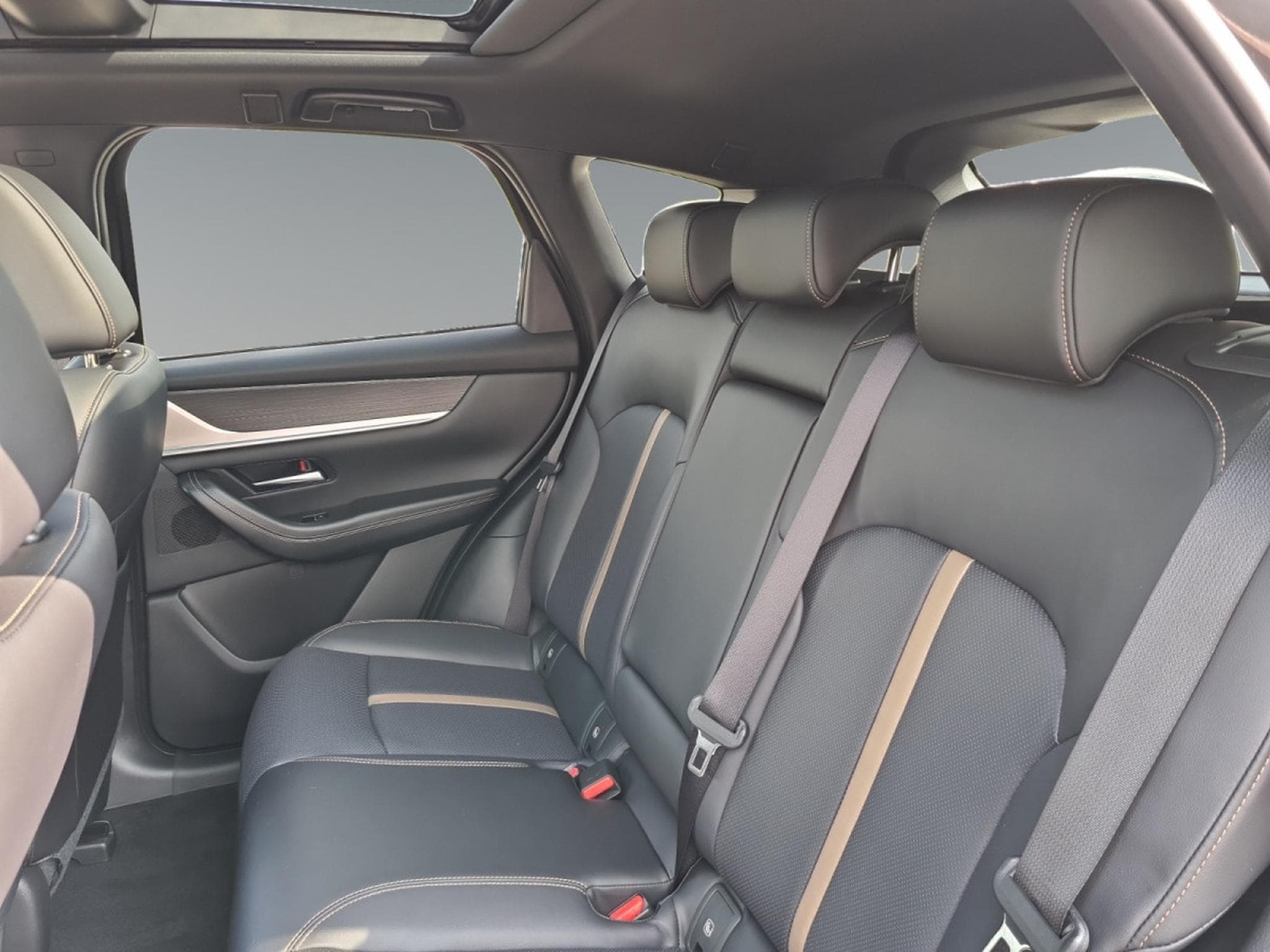 Mazda CX-60 2.5L e-SKYACTIV PHEV 327 hp 8AT AWD HOMURA (2026) - Photo 15