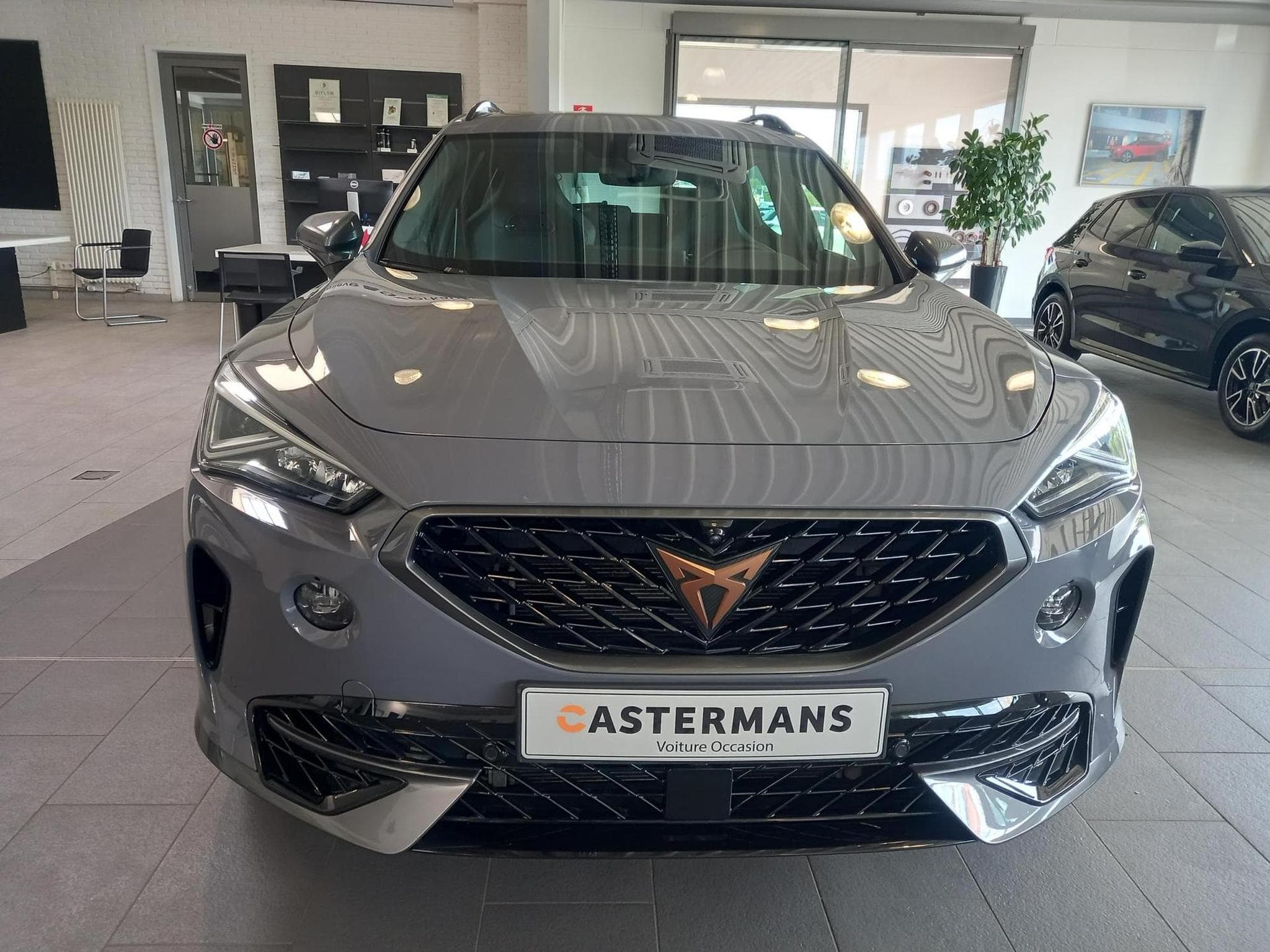 Cupra Formentor VZ 2.0 TSI (2024) - Photo 15