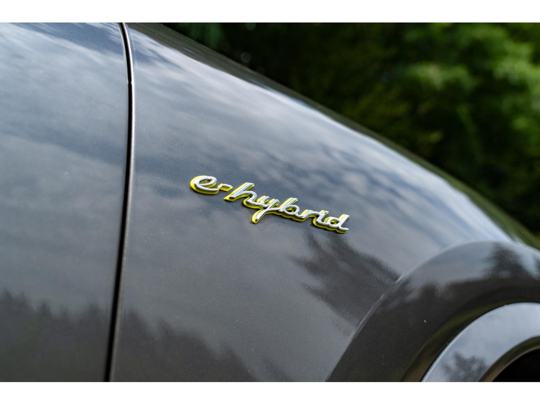 Porsche Cayenne E HYBRID (2021) - Photo 15