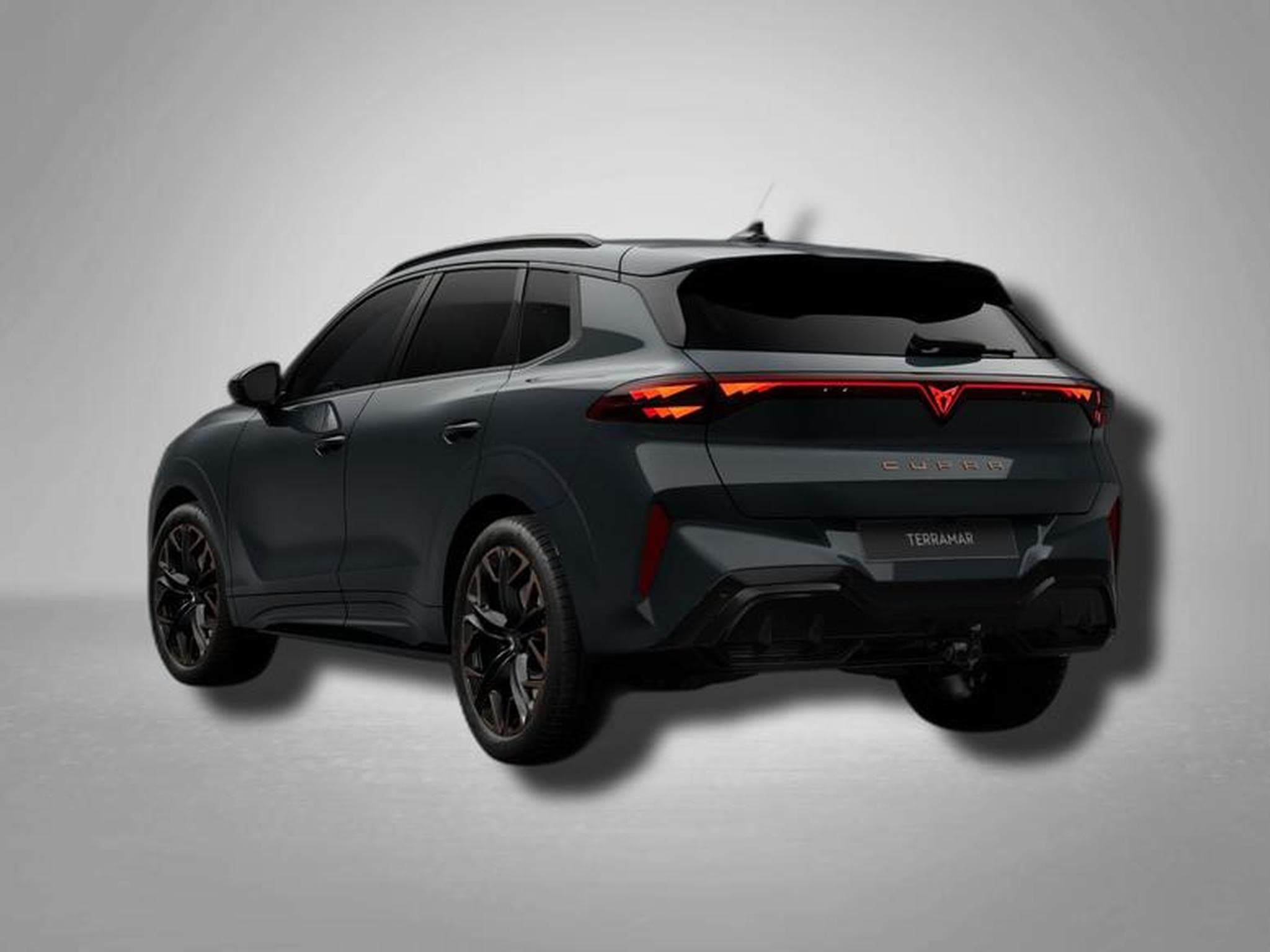 Cupra Terramar VZ 2.0 TSI 7-Gang-DSG 4Drive (2026) - Photo 3
