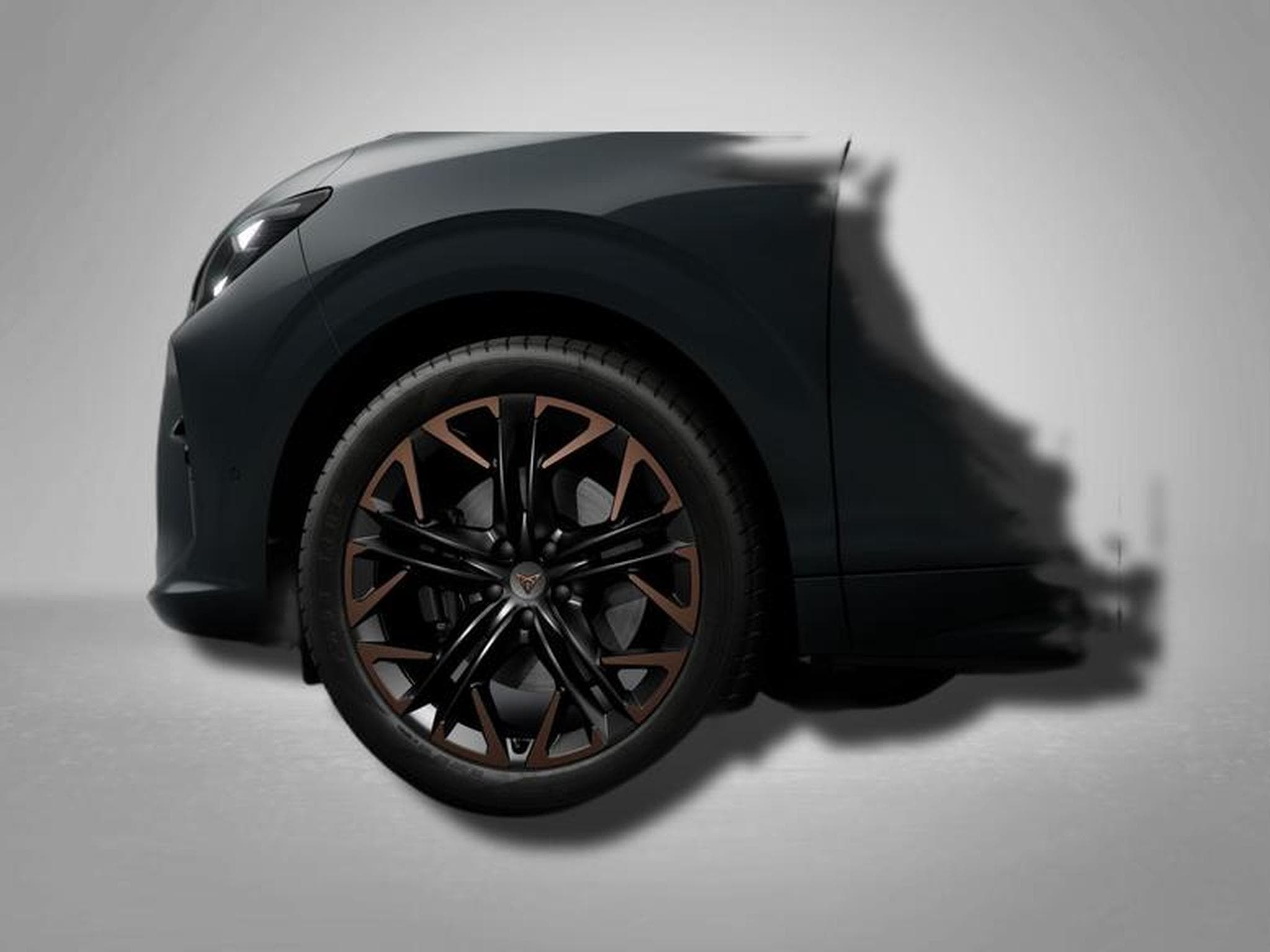 Cupra Terramar VZ 2.0 TSI 7-Gang-DSG 4Drive (2026) - Photo 4
