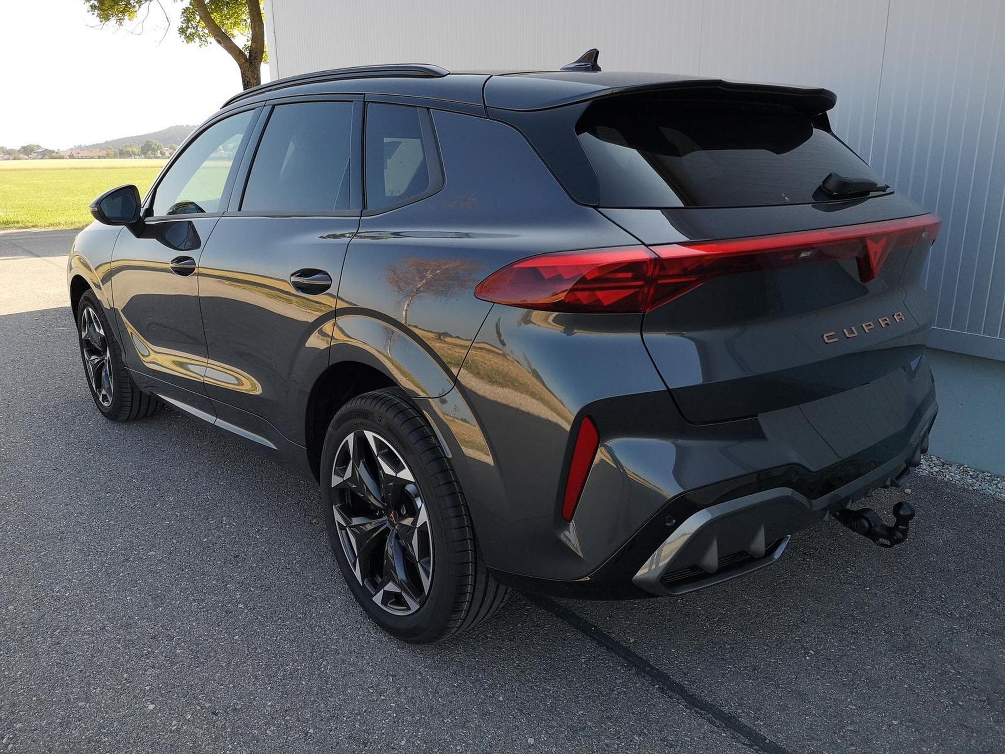 Cupra Terramar 2.0 TSI 195 kW 4Drive VZ (2026) - Photo 3
