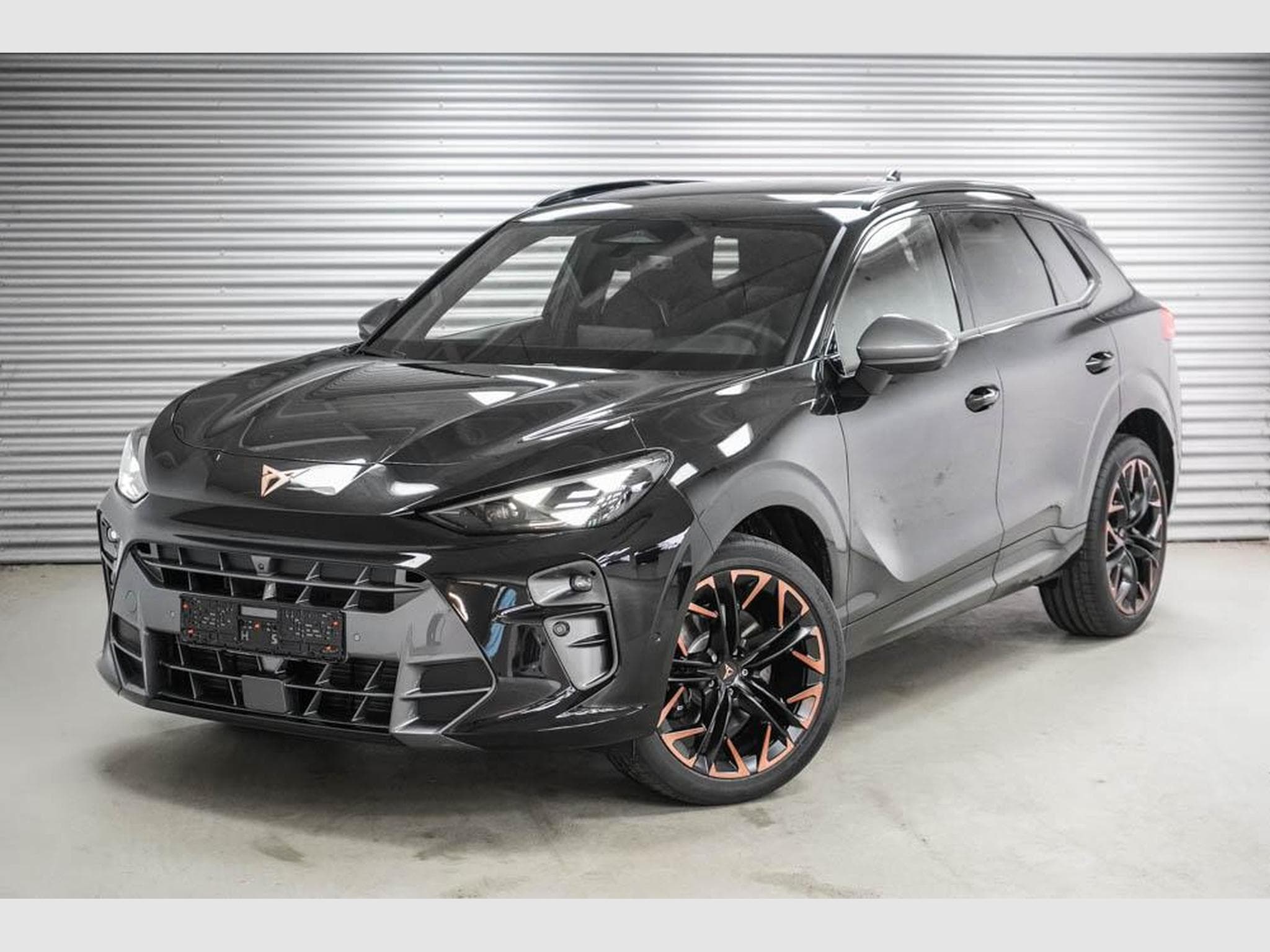 Cupra Terramar 2,0 TSI DSG (2025) - Photo 1