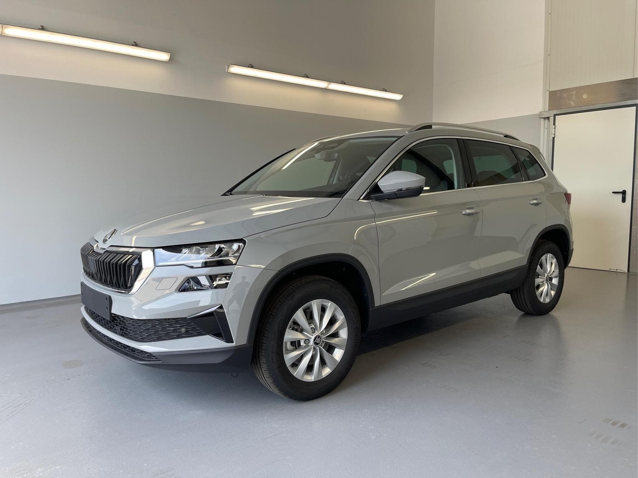 Skoda Karoq Selection (2026) - Photo 1