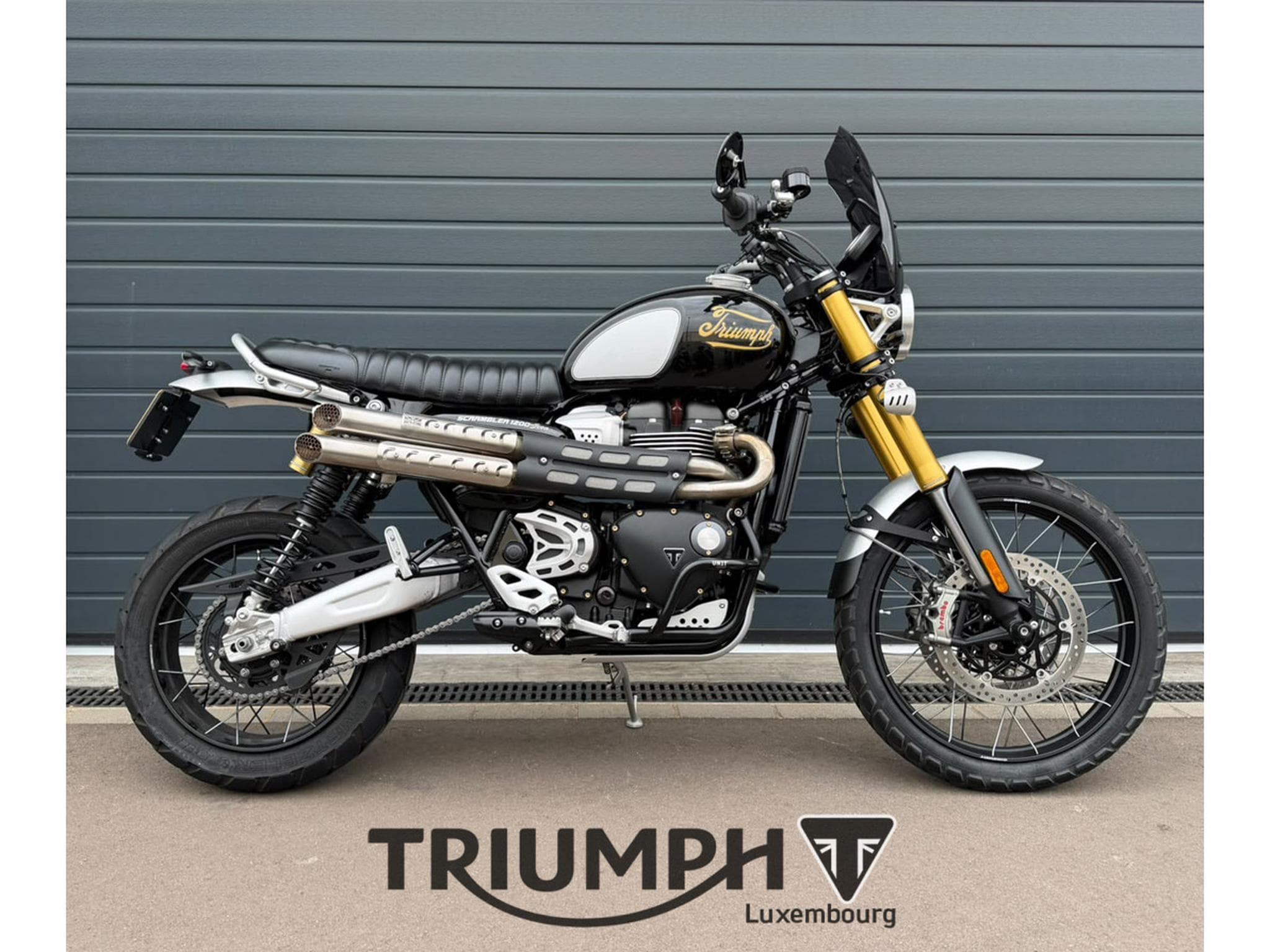 Triumph Scrambler SCRAMBLER 1200 XE ICON EDITION (2025) - Photo 4