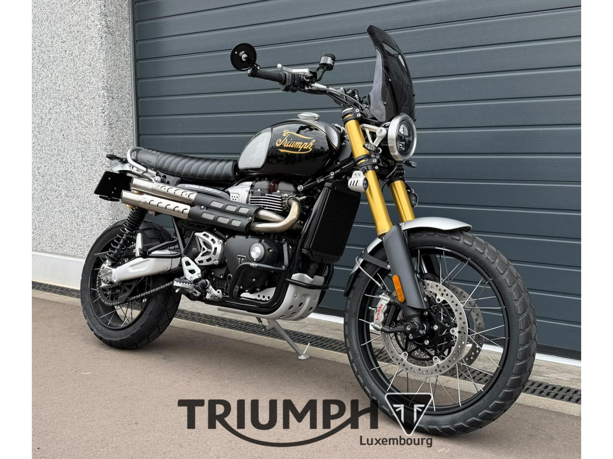Triumph Scrambler SCRAMBLER 1200 XE ICON EDITION (2025) - Photo 5