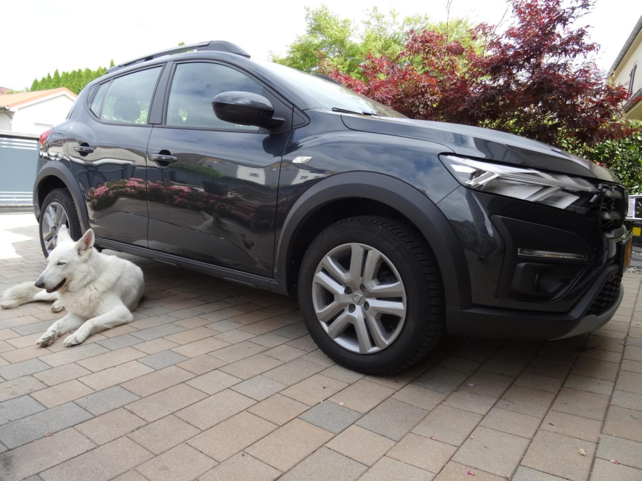 Dacia Sandero STEPWAY (2023) - Photo 2
