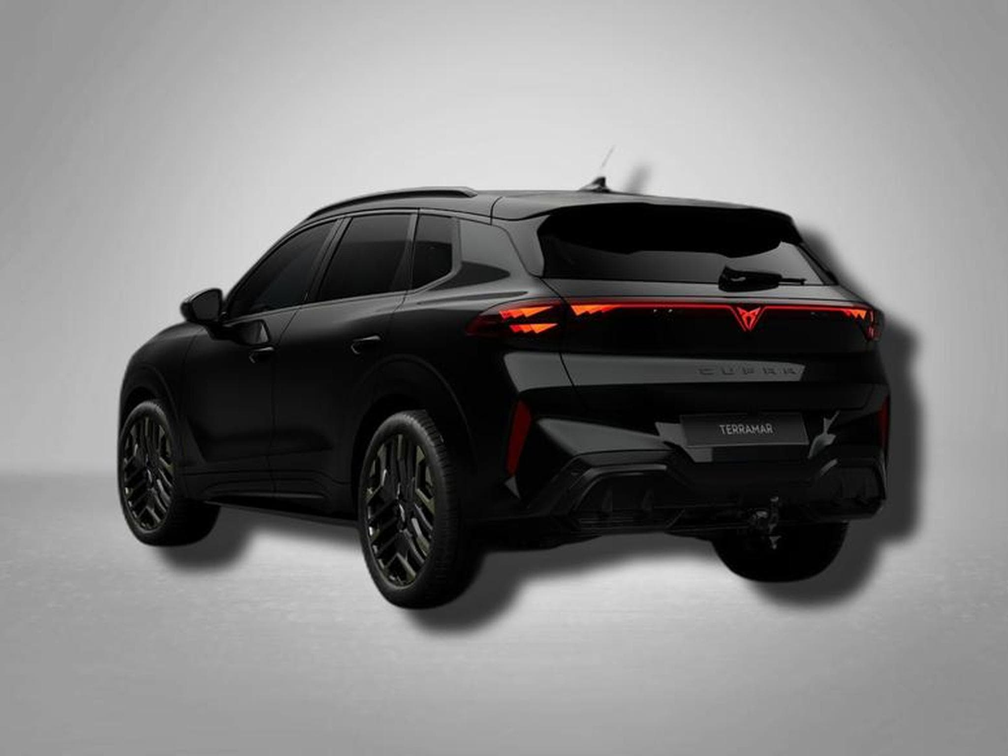 Cupra Terramar VZ Tribe Edition 2.0 TSI 7-Gang-DSG 4Drive (2026) - Photo 3
