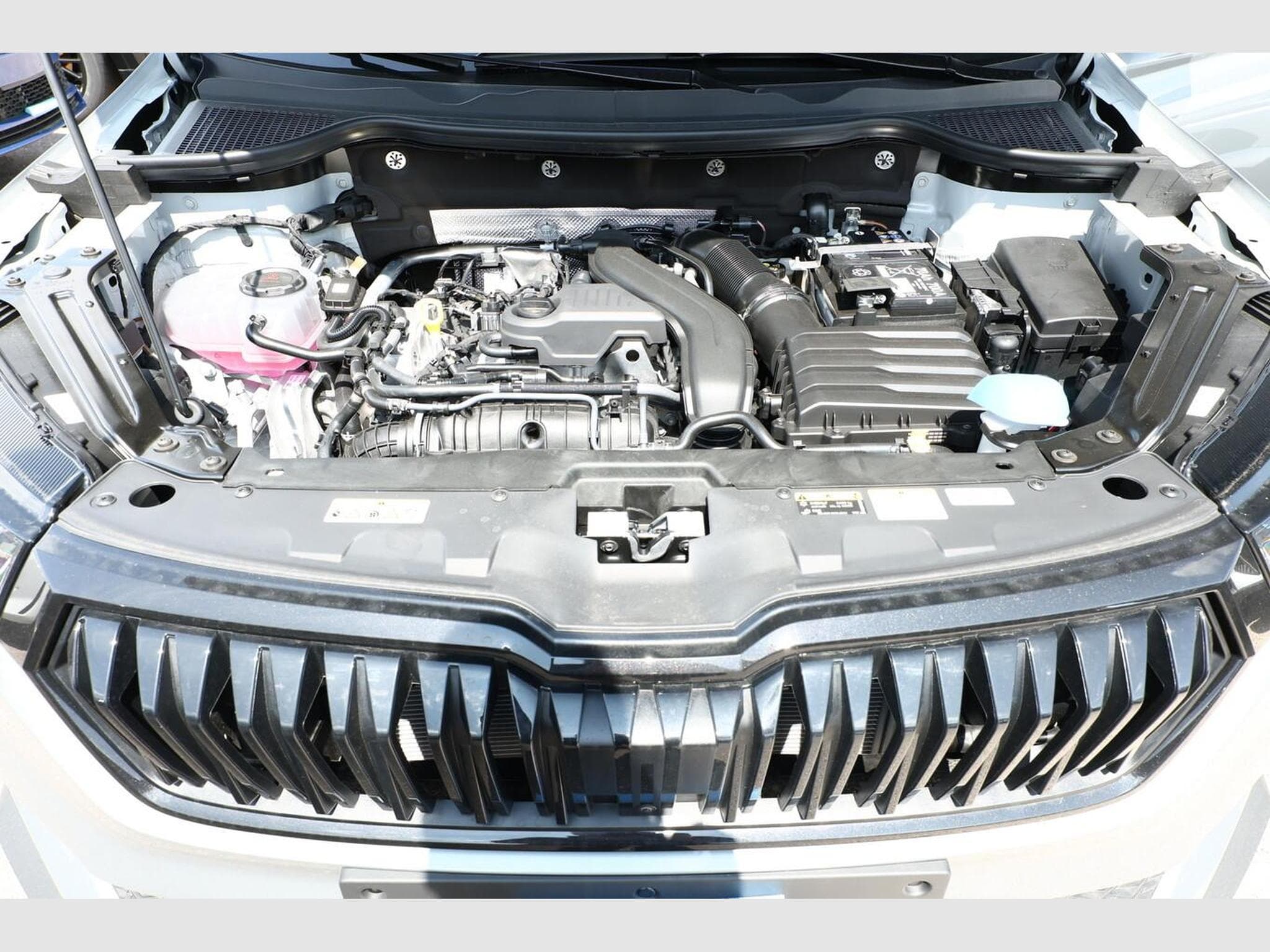 Skoda Karoq Sportline (2026) - Photo 12