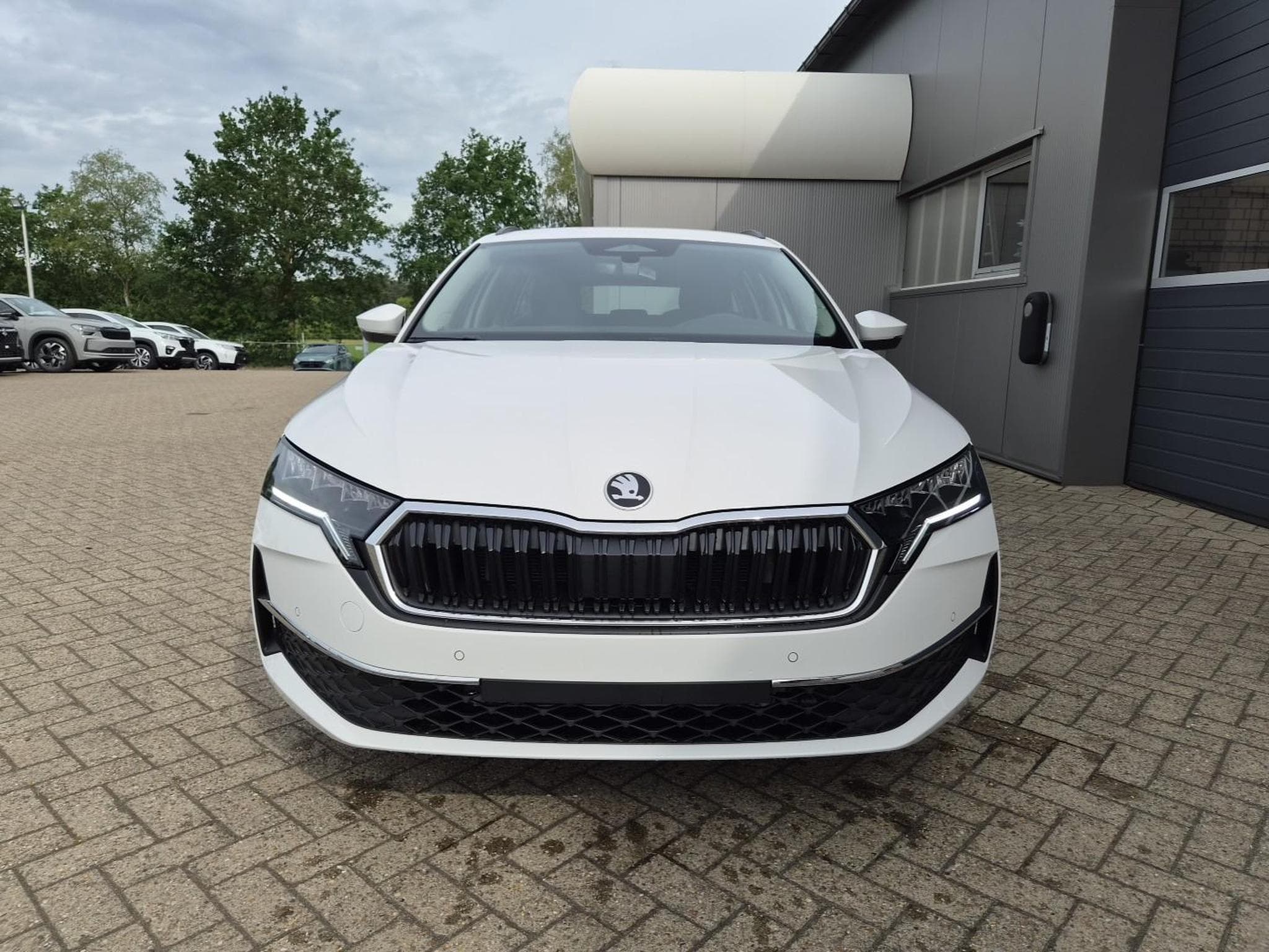 Skoda Octavia 1.5 TSI 150PS (2026) - Photo 7