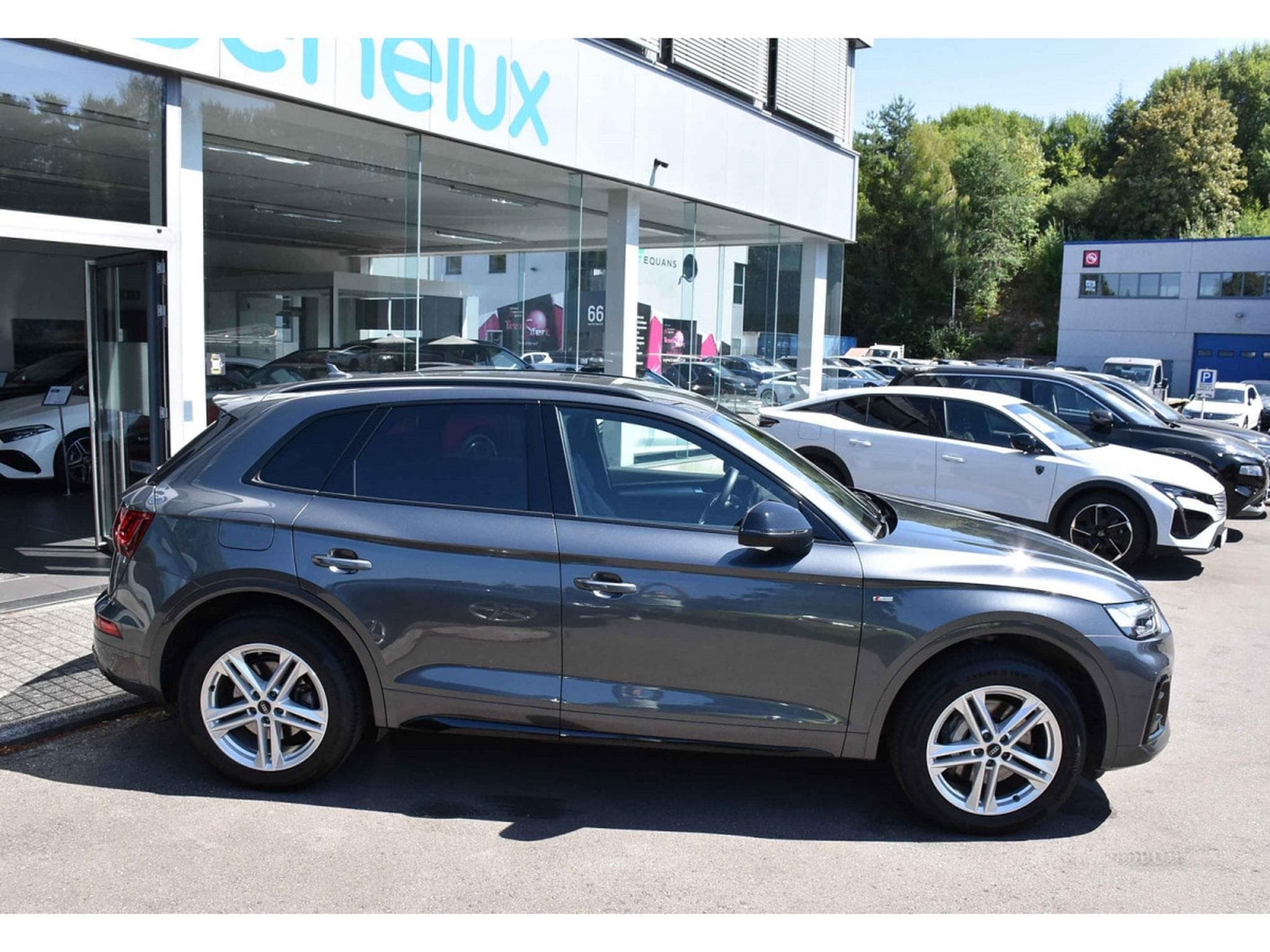 Audi Q5 50 TDI Quattro S-Line Tiptronic CUIR ACC ATT RMQ MATRIX 1° M (2023) - Photo 3