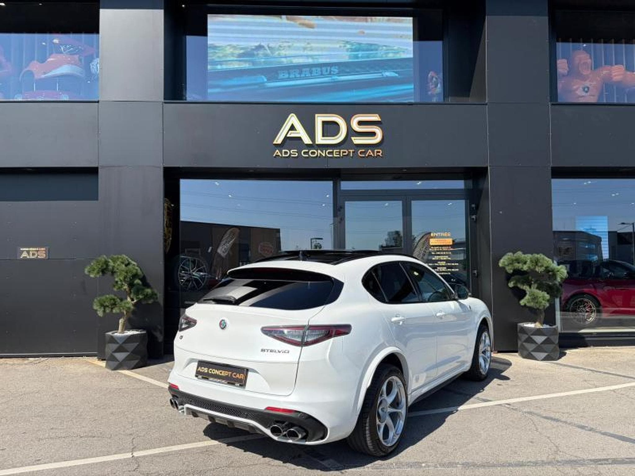 Alfa-Romeo Stelvio Quadrifoglio Q4 Toit ouvrant/Sieges Chauffant/ (2021) - Photo 21
