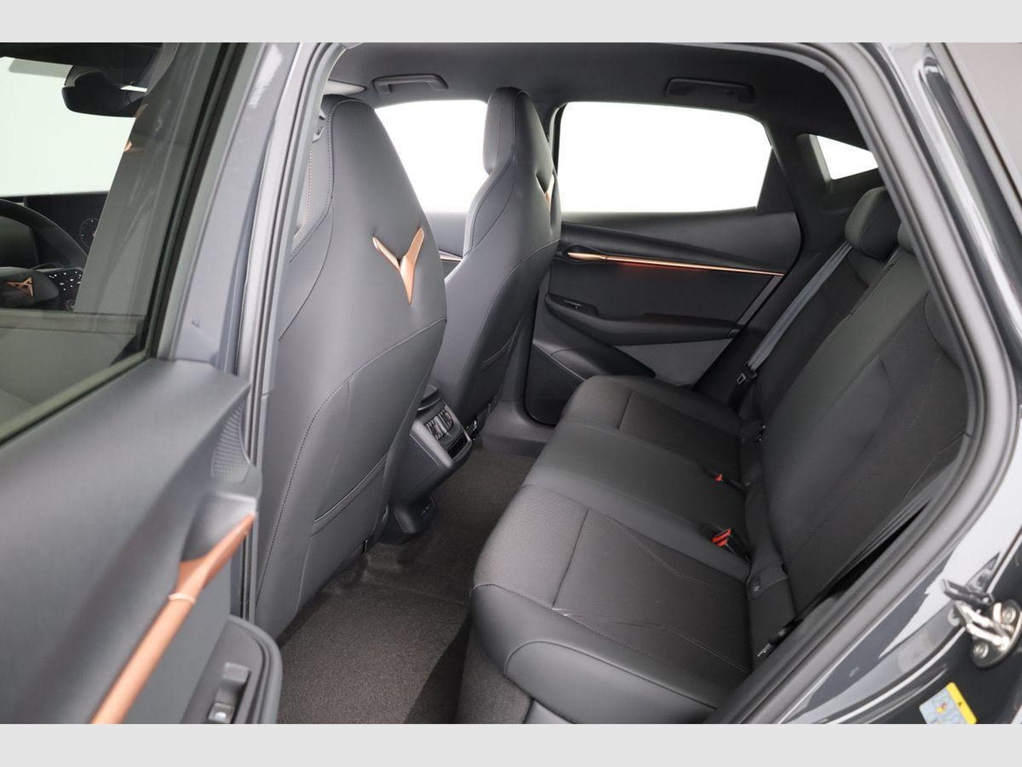 Cupra Tavascan 210 kW Endurance (2026) - Photo 10