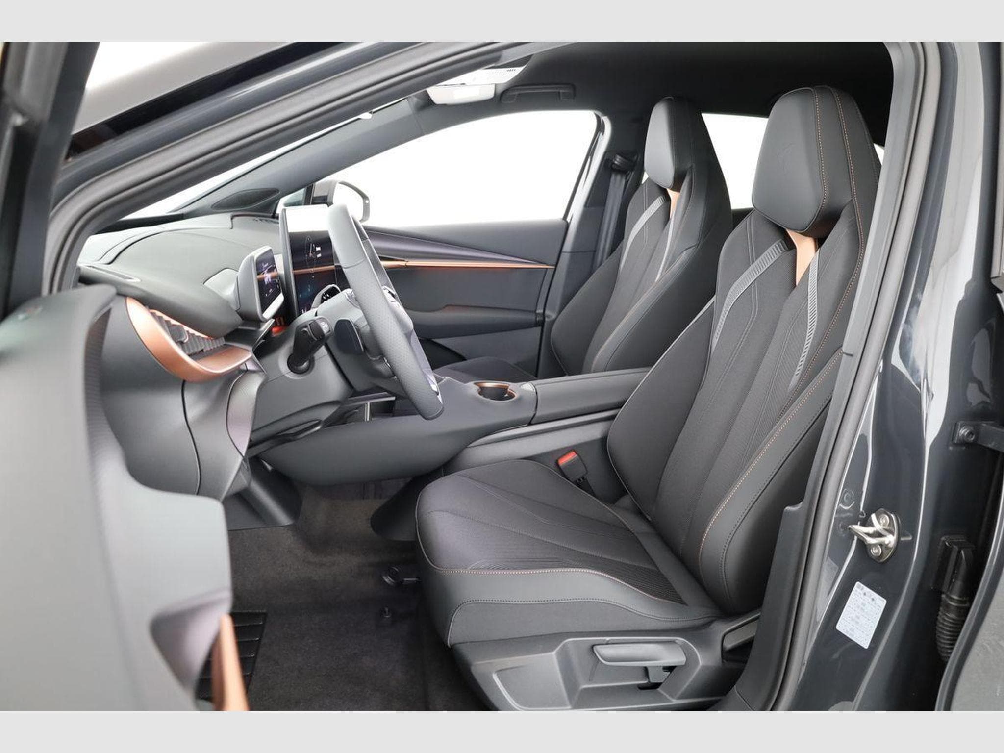 Cupra Tavascan 210 kW Endurance (2026) - Photo 9