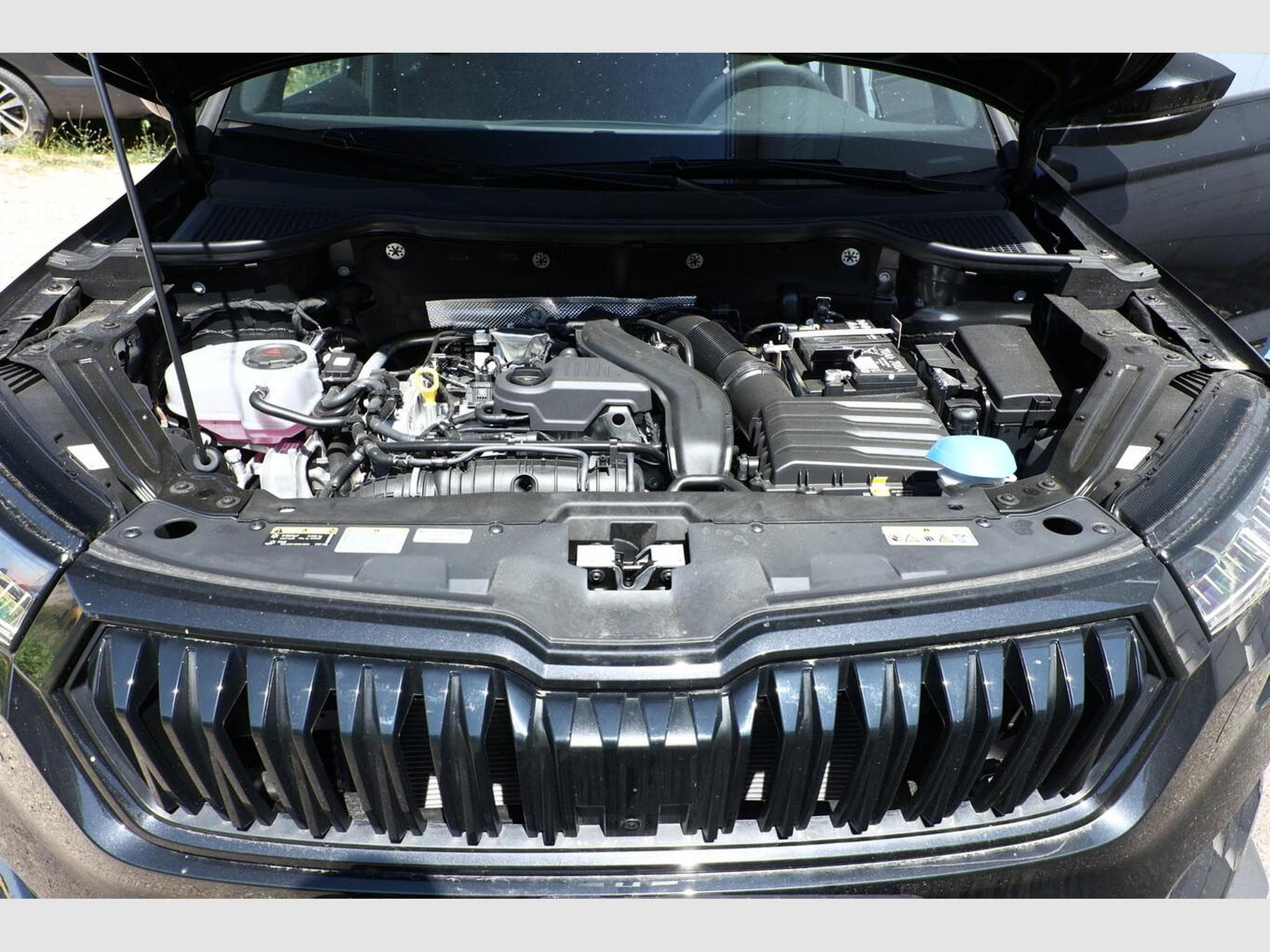 Skoda Karoq Sportline (2026) - Photo 12