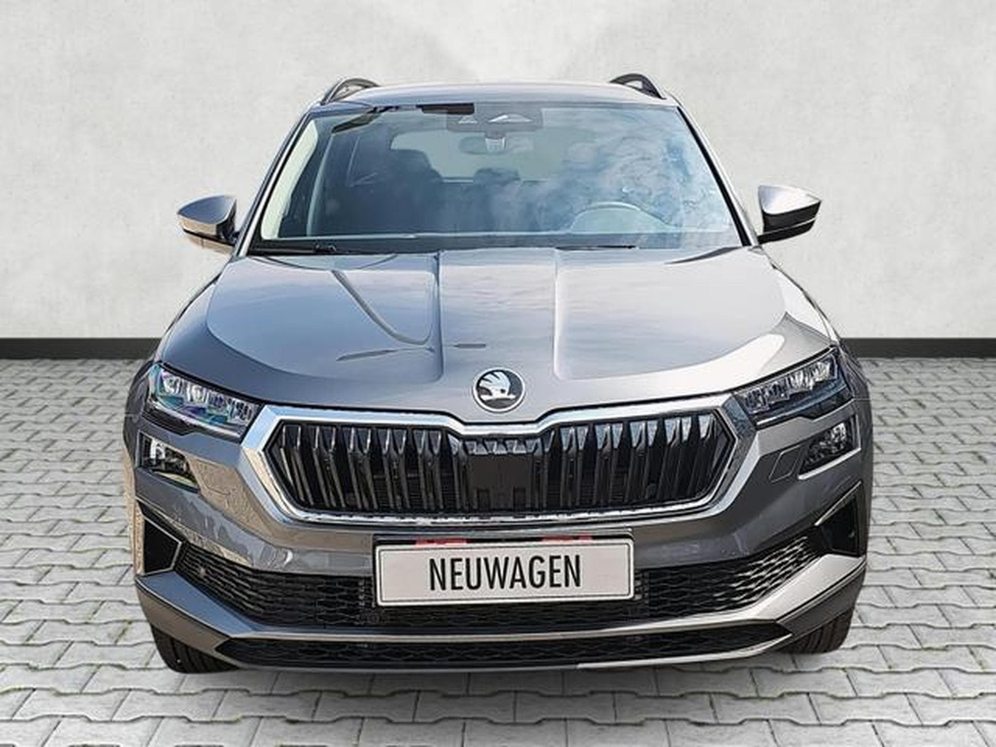 Skoda Karoq Selection (2026) - Photo 2