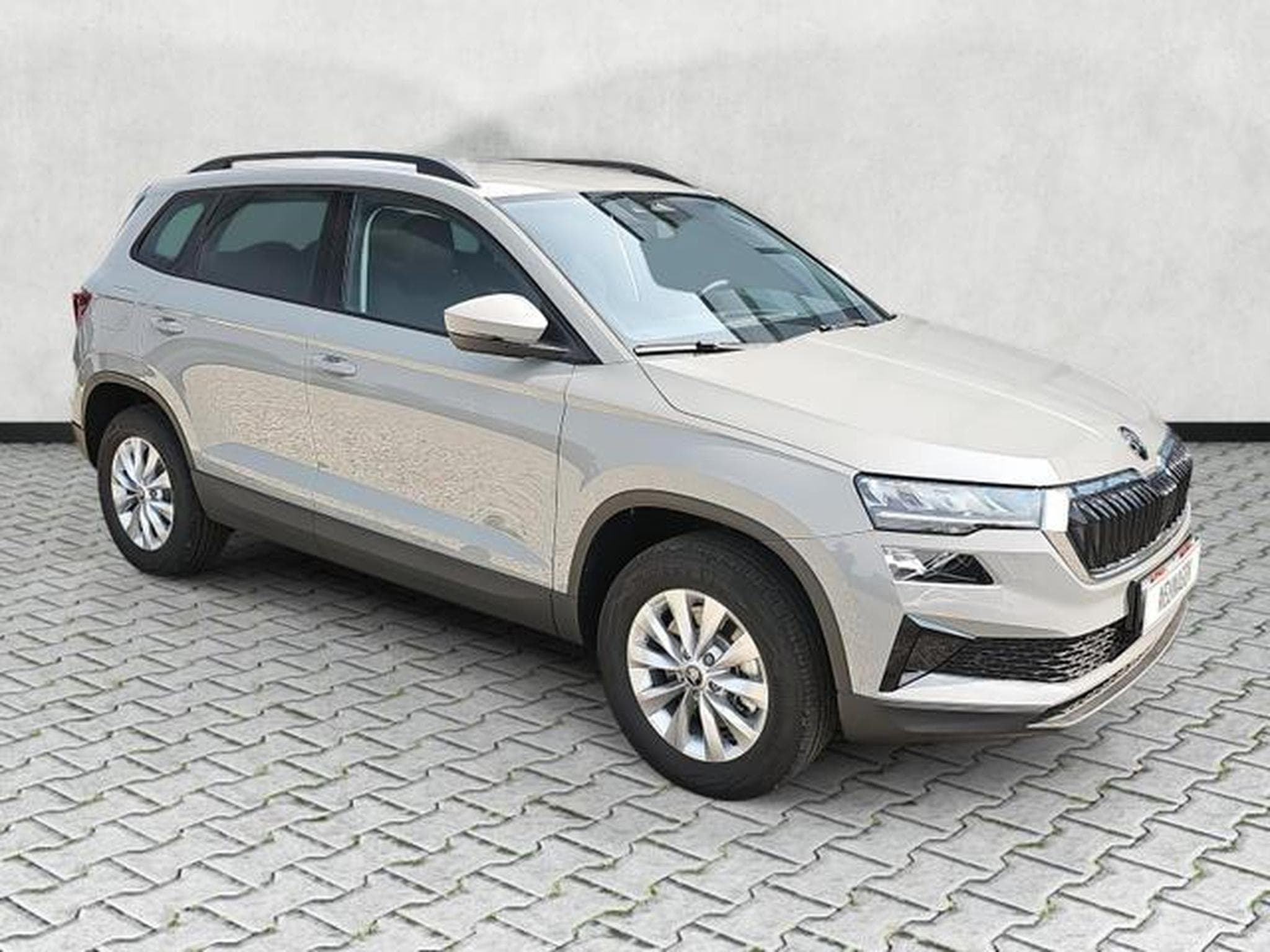 Skoda Karoq Selection (2026) - Photo 1