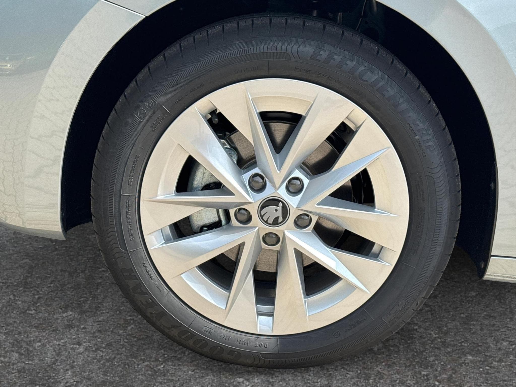 Skoda Octavia Selection (2026) - Photo 10