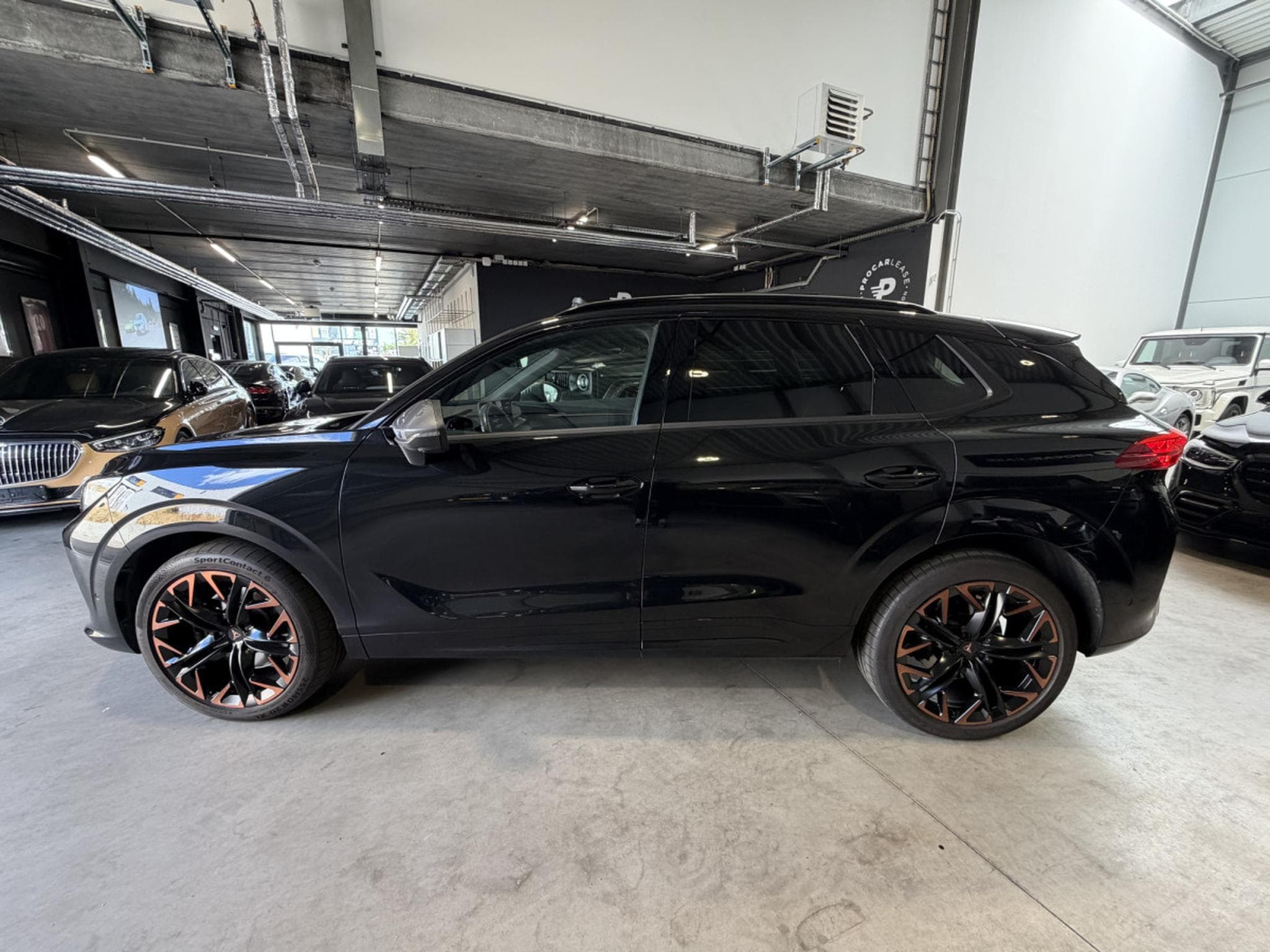 Cupra Terramar Terramar 2.0 TSI 195 kW/4Drive VZ /PANORAMA/*VOLL (2025) - Photo 15