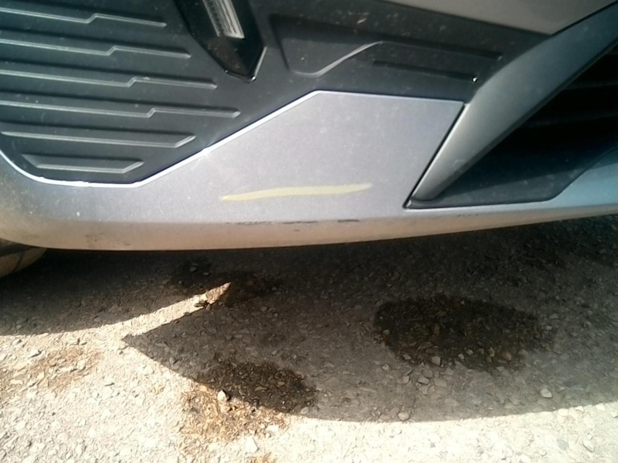 Peugeot 308 Style (2025) - Photo 20