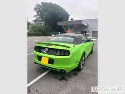 Ford Mustang Cabriolet (2014) - Photo 1