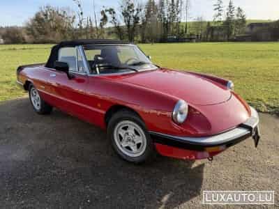 Alfa-Romeo Spider (1988) - Photo 8
