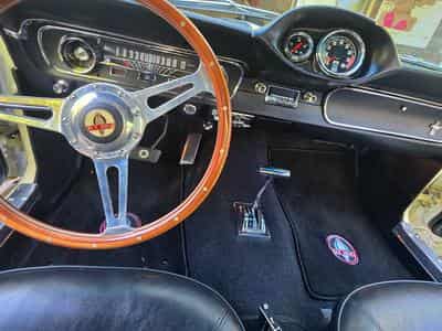 Ford Mustang Fastback GT350 Tribut 1965 (1965) - Photo 14