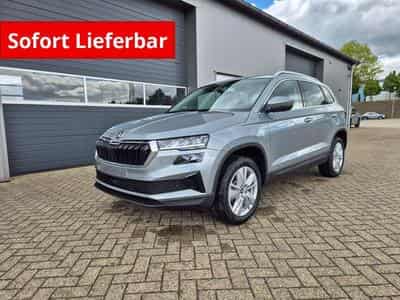 Skoda Karoq Standard (2026) - Photo 1