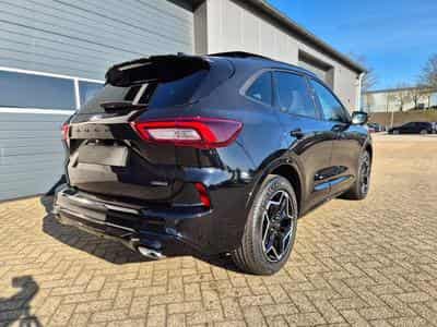 Ford Kuga ST-Line (2026) - Photo 5