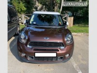 Mini Paceman
