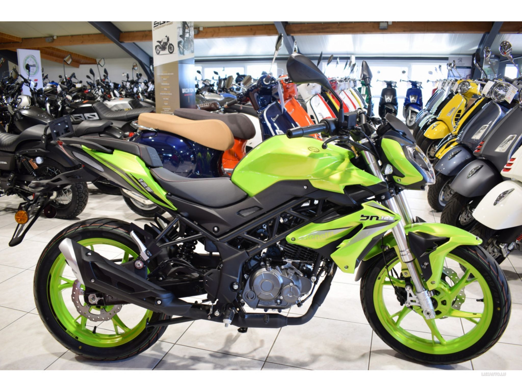 benelli bn 125 green